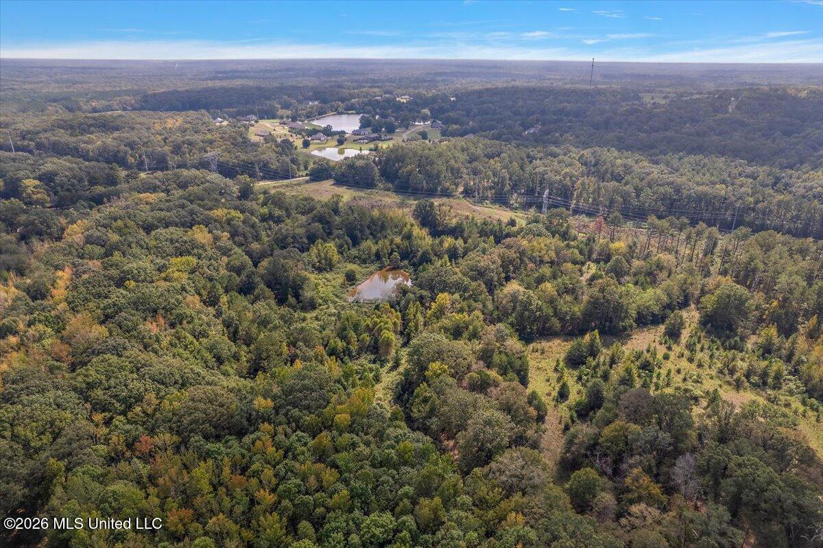 4461 Clinton Tinnin Road Property Photo 8