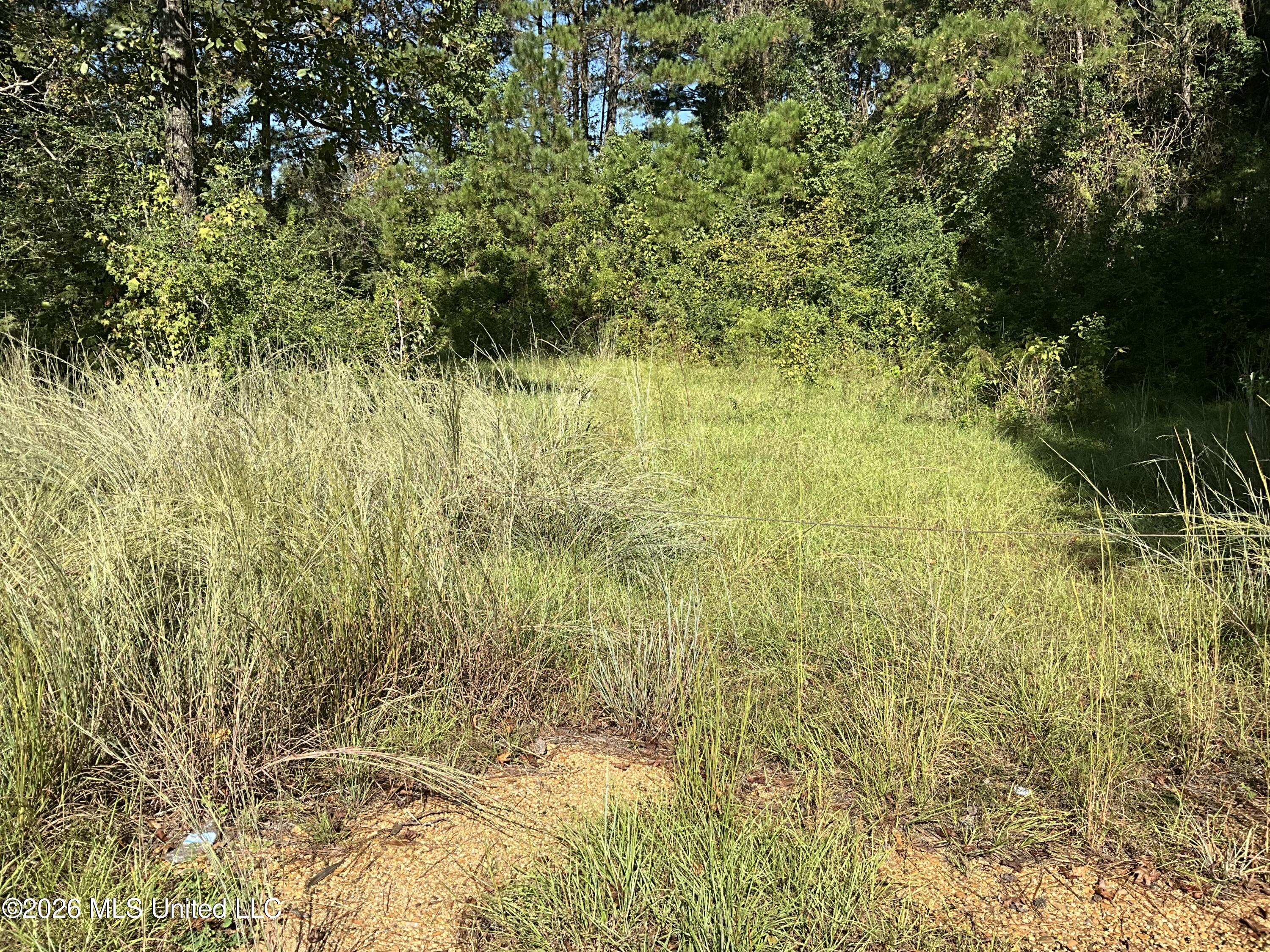 Highway 24 Property Photo 2