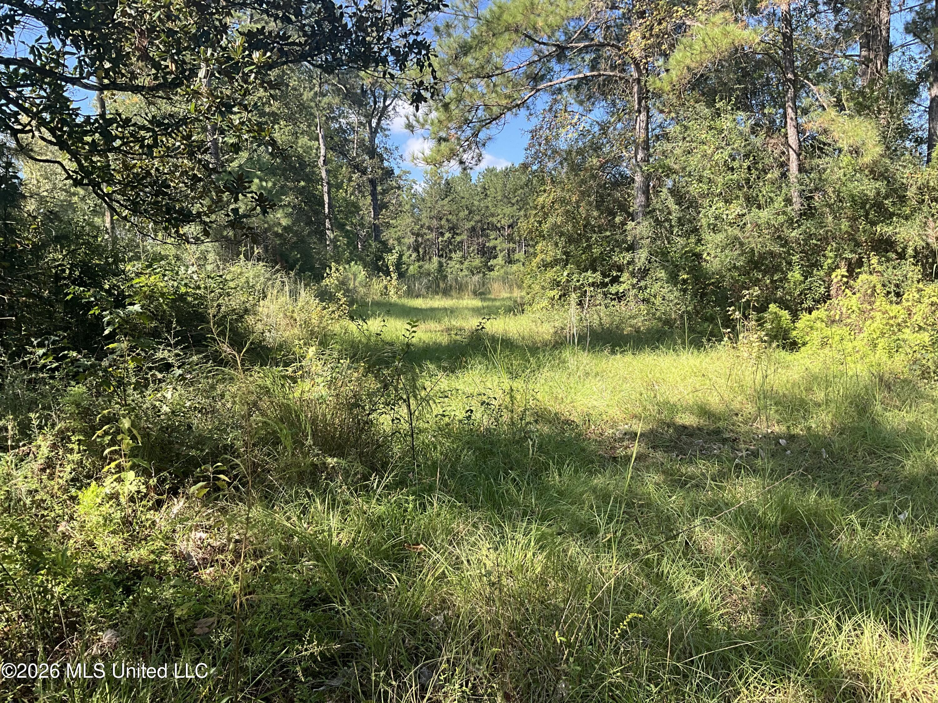 Highway 24 Property Photo 3