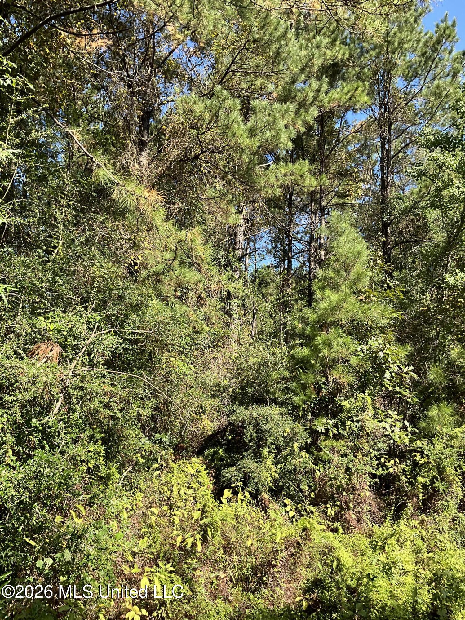Highway 24 Property Photo 6
