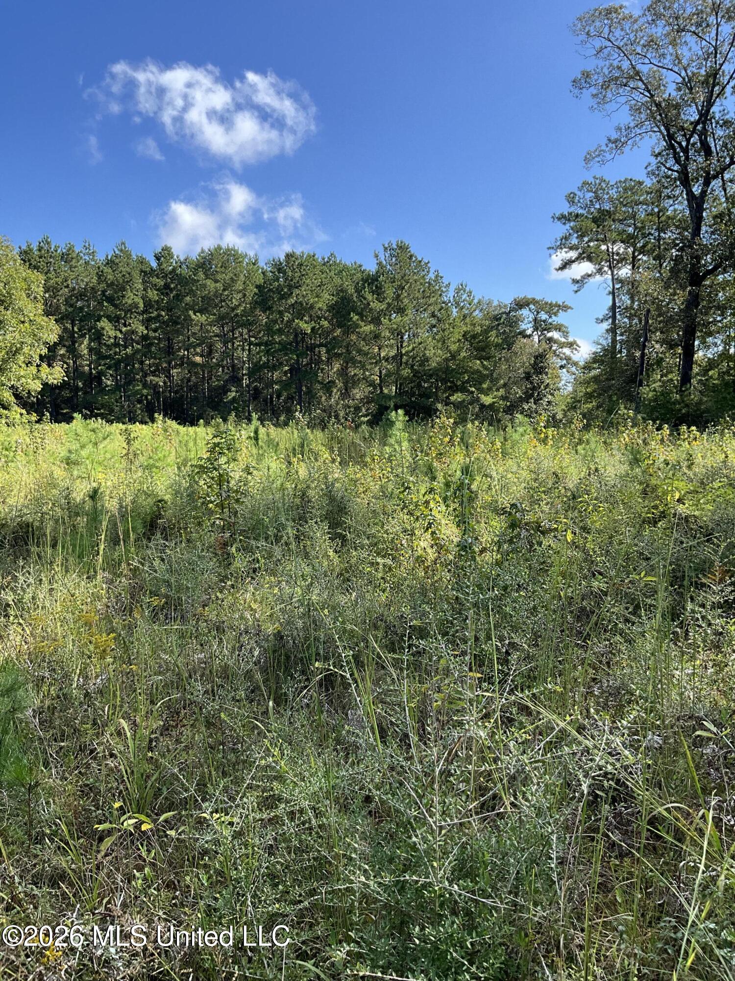 Highway 24 Property Photo 7