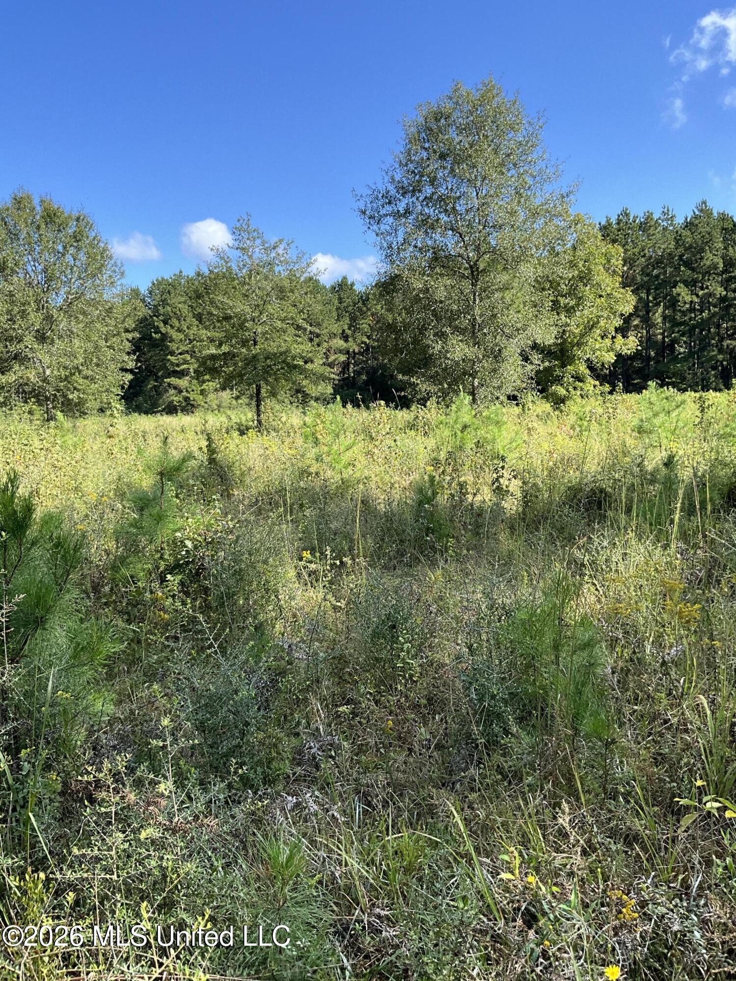 Highway 24 Property Photo 8