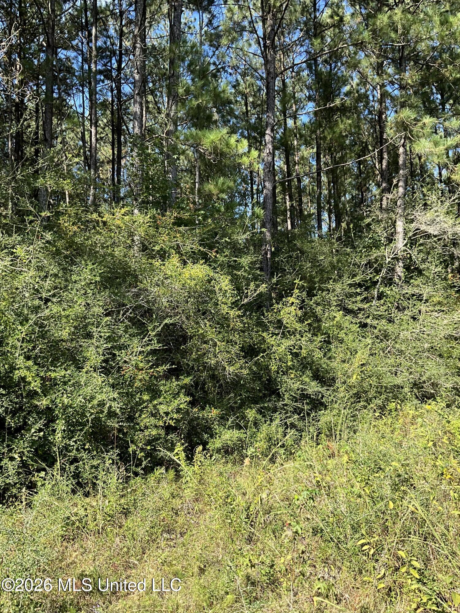 Highway 24 Property Photo 9