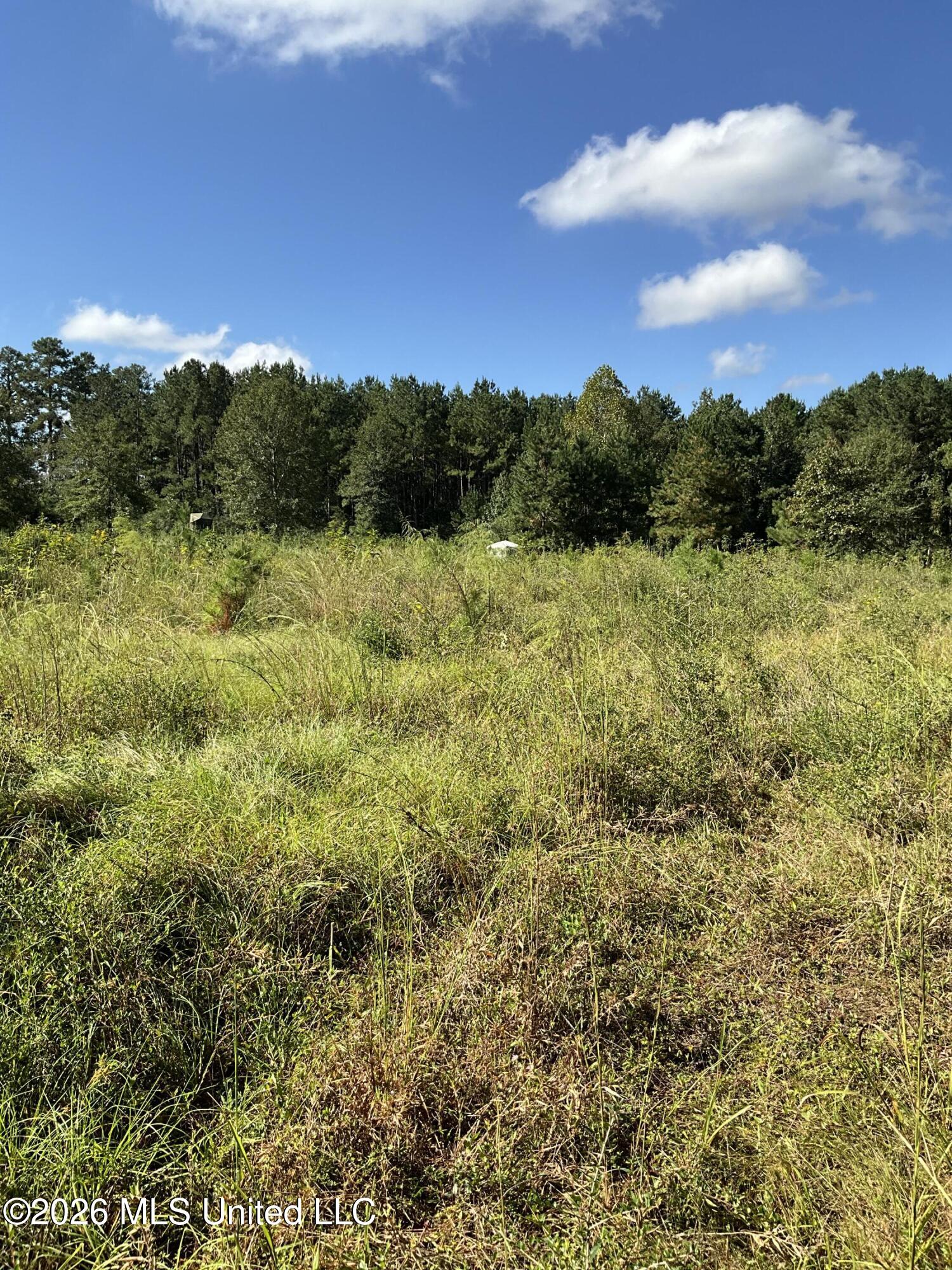 Highway 24 Property Photo 11