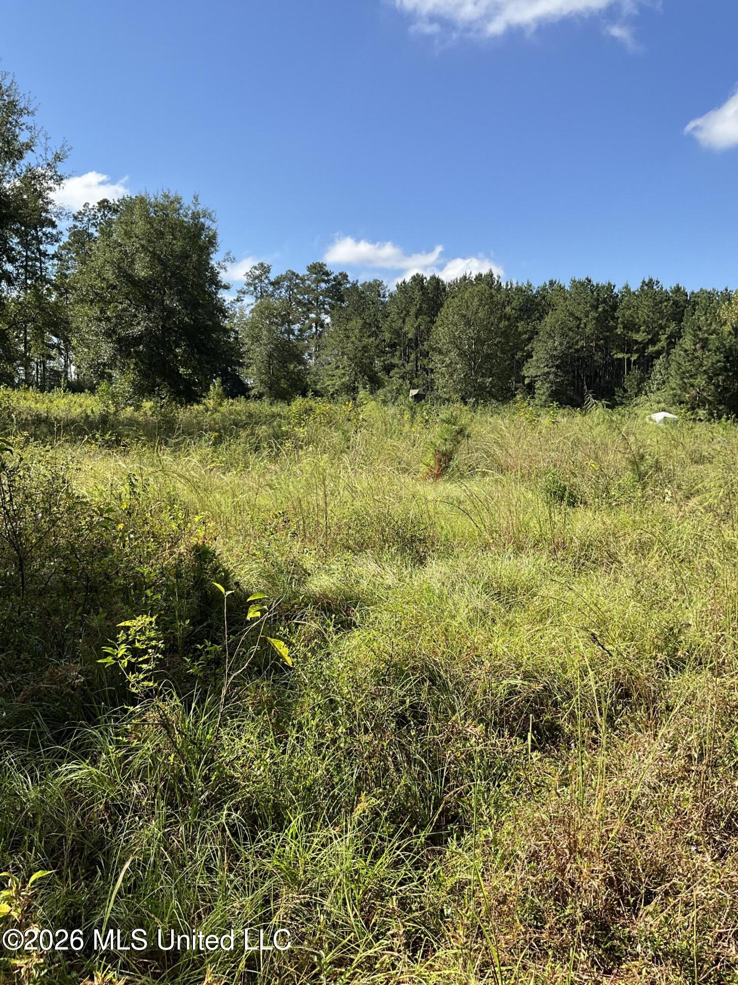 Highway 24 Property Photo 12