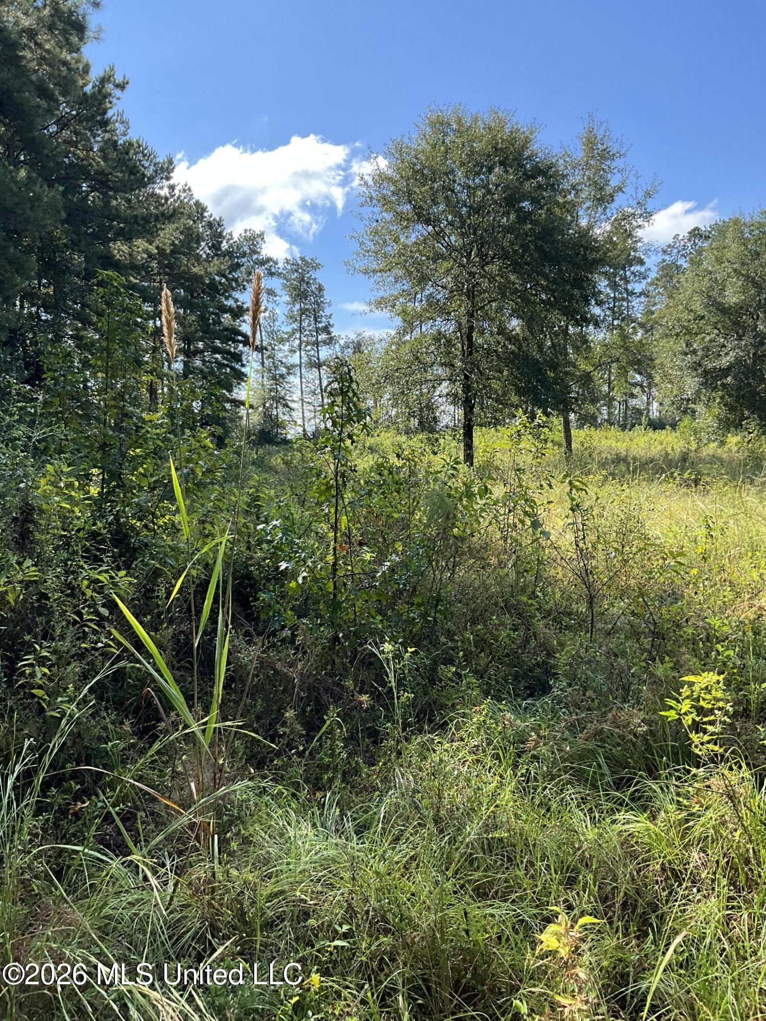 Highway 24 Property Photo 13
