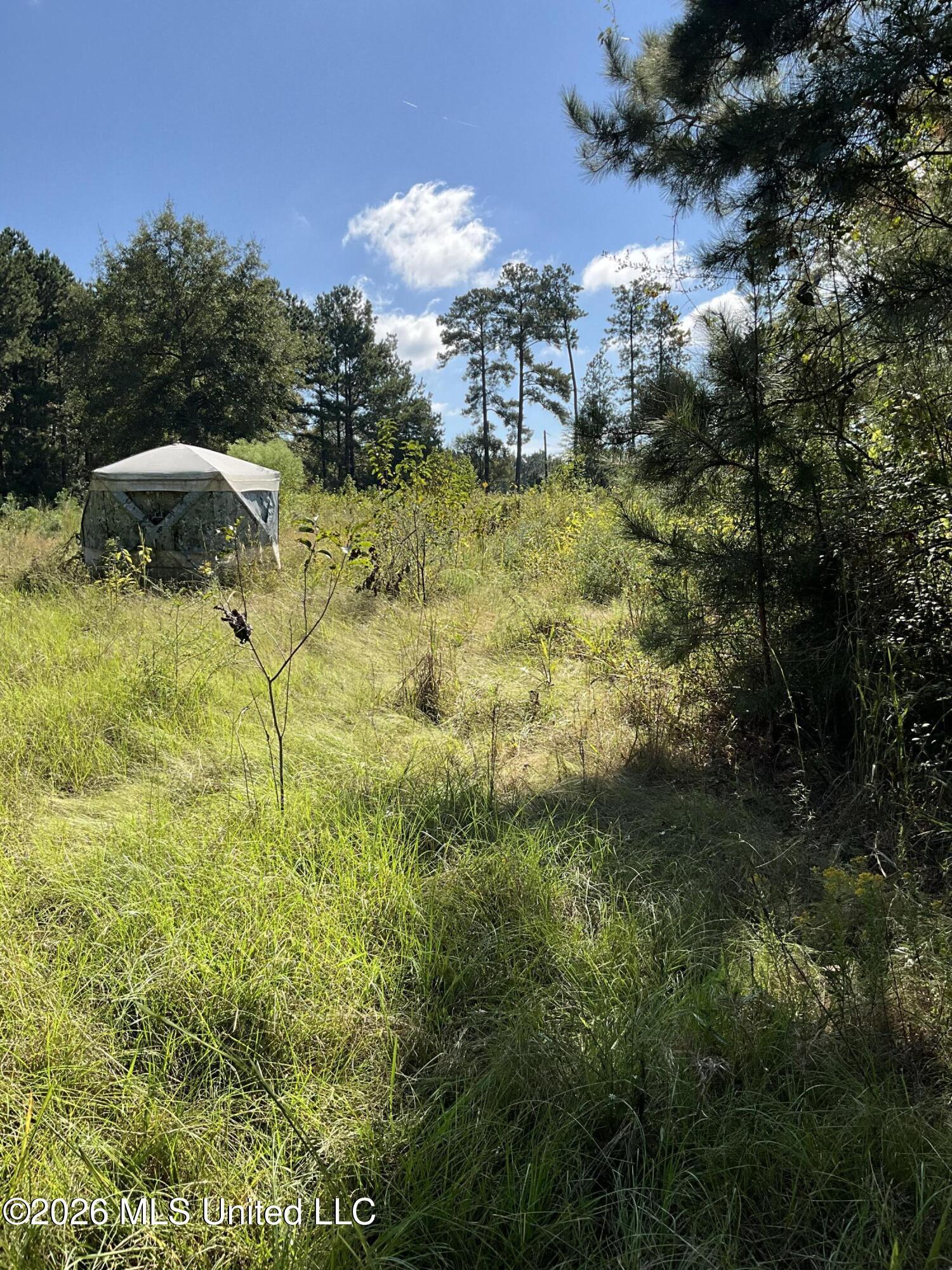 Highway 24 Property Photo 14
