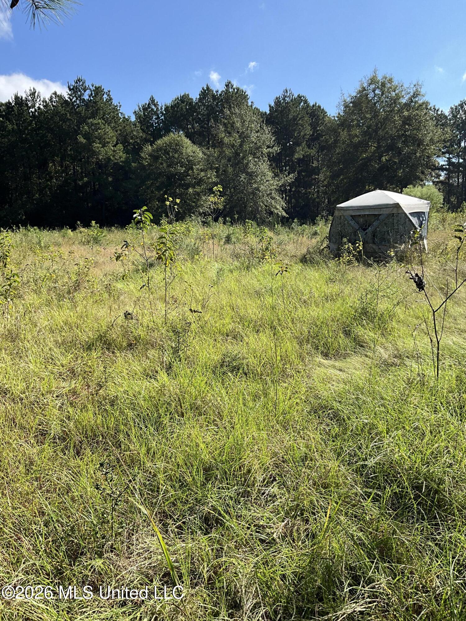 Highway 24 Property Photo 15