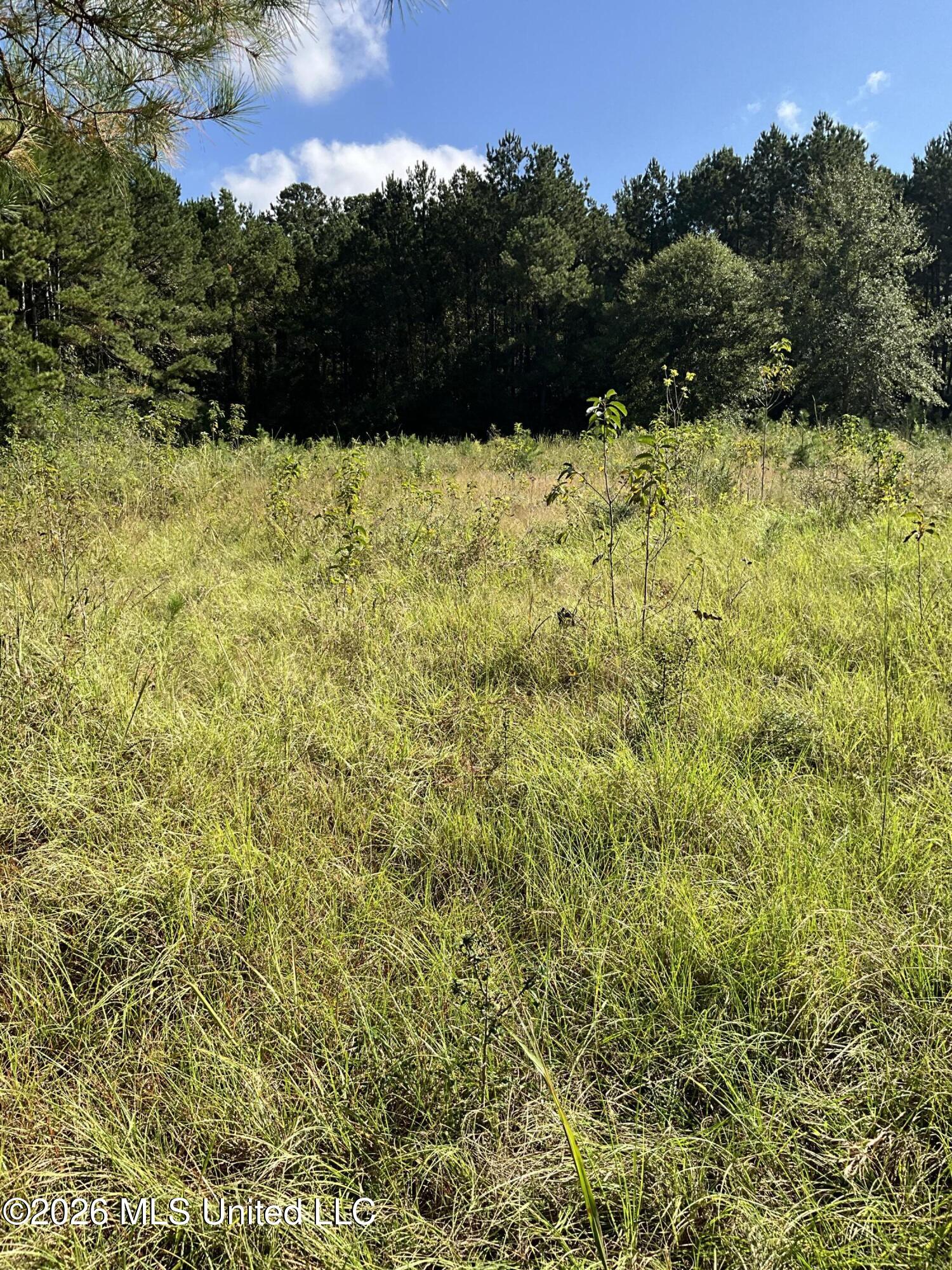 Highway 24 Property Photo 16