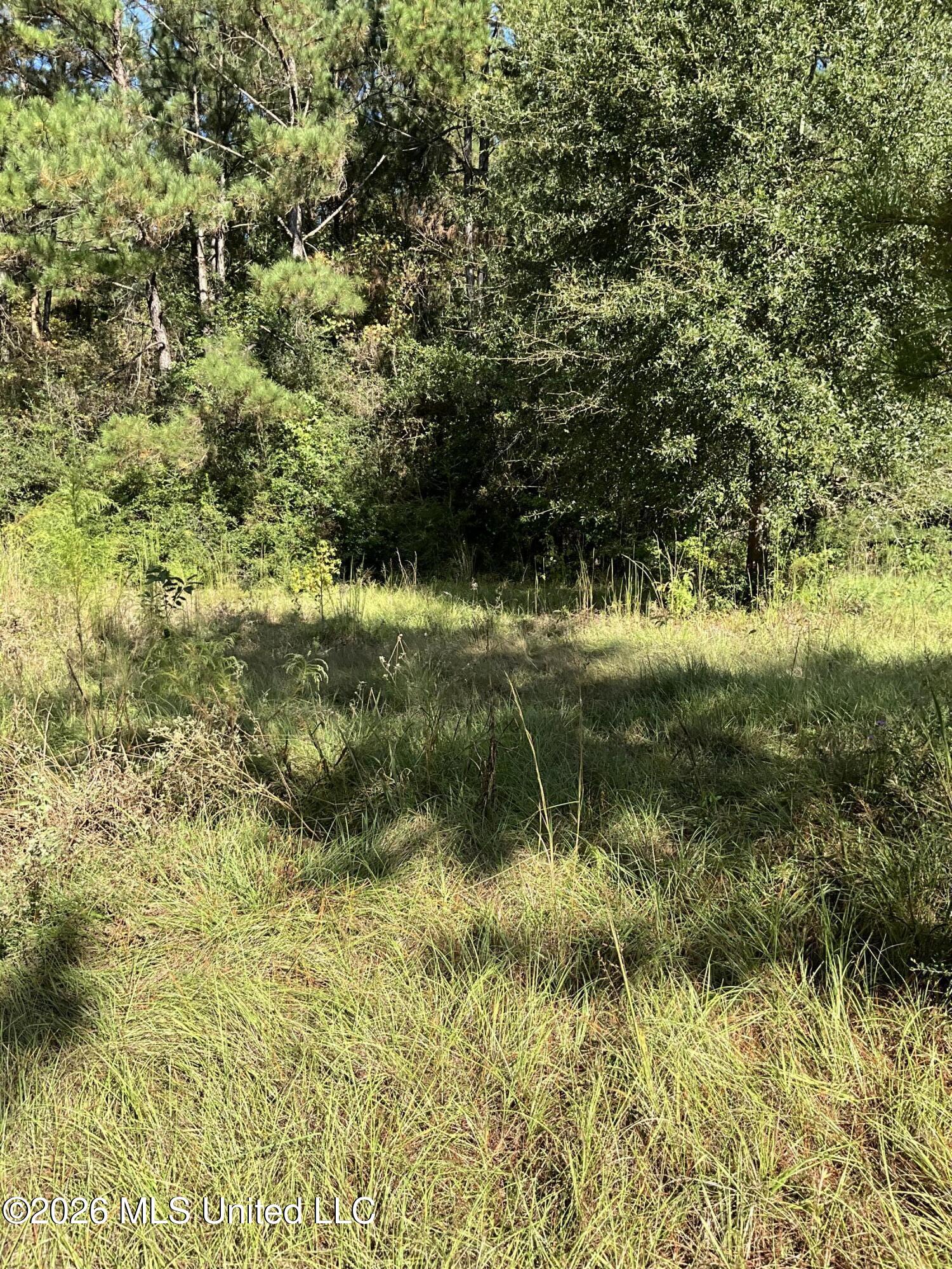 Highway 24 Property Photo 17