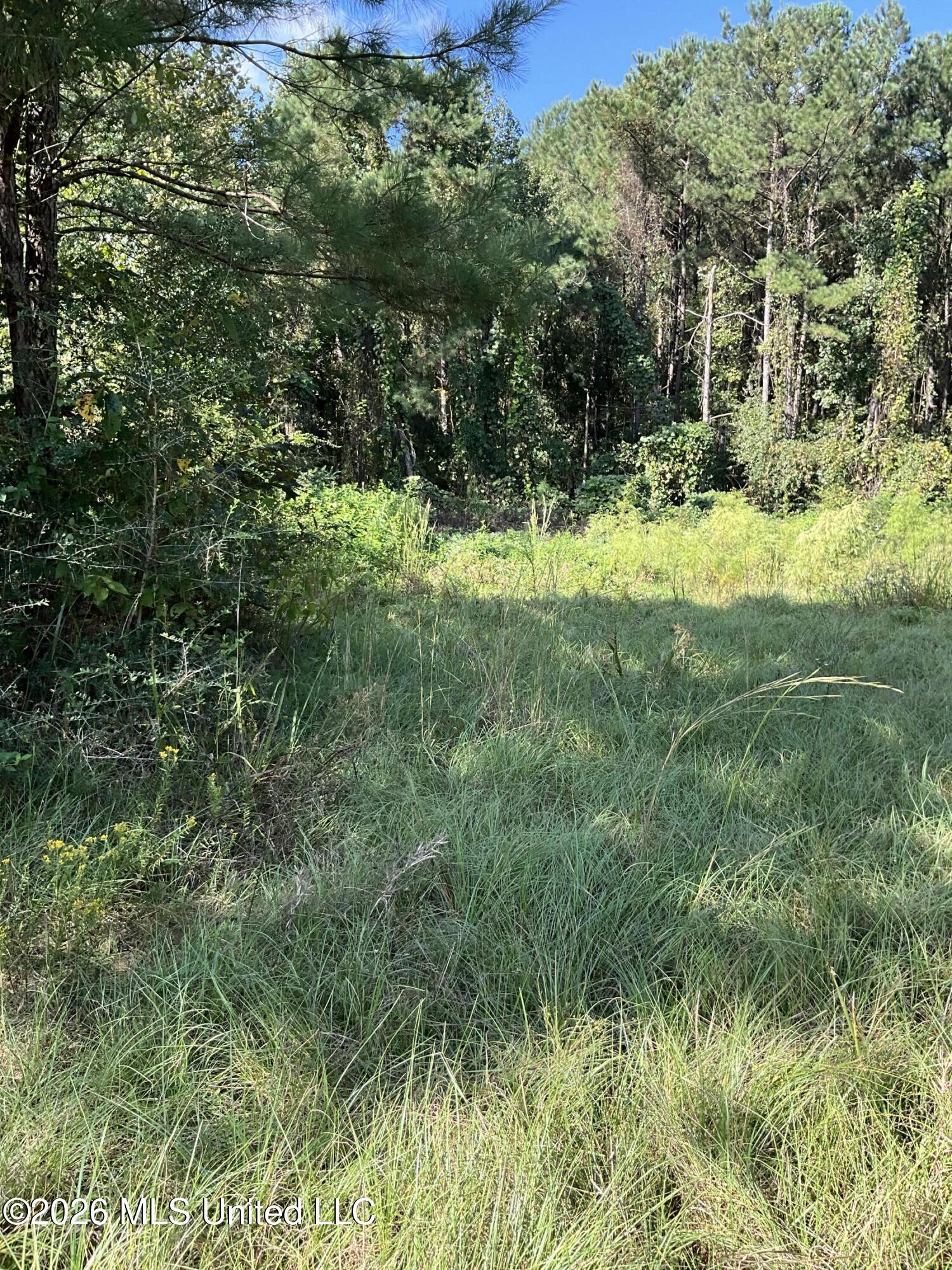 Highway 24 Property Photo 18
