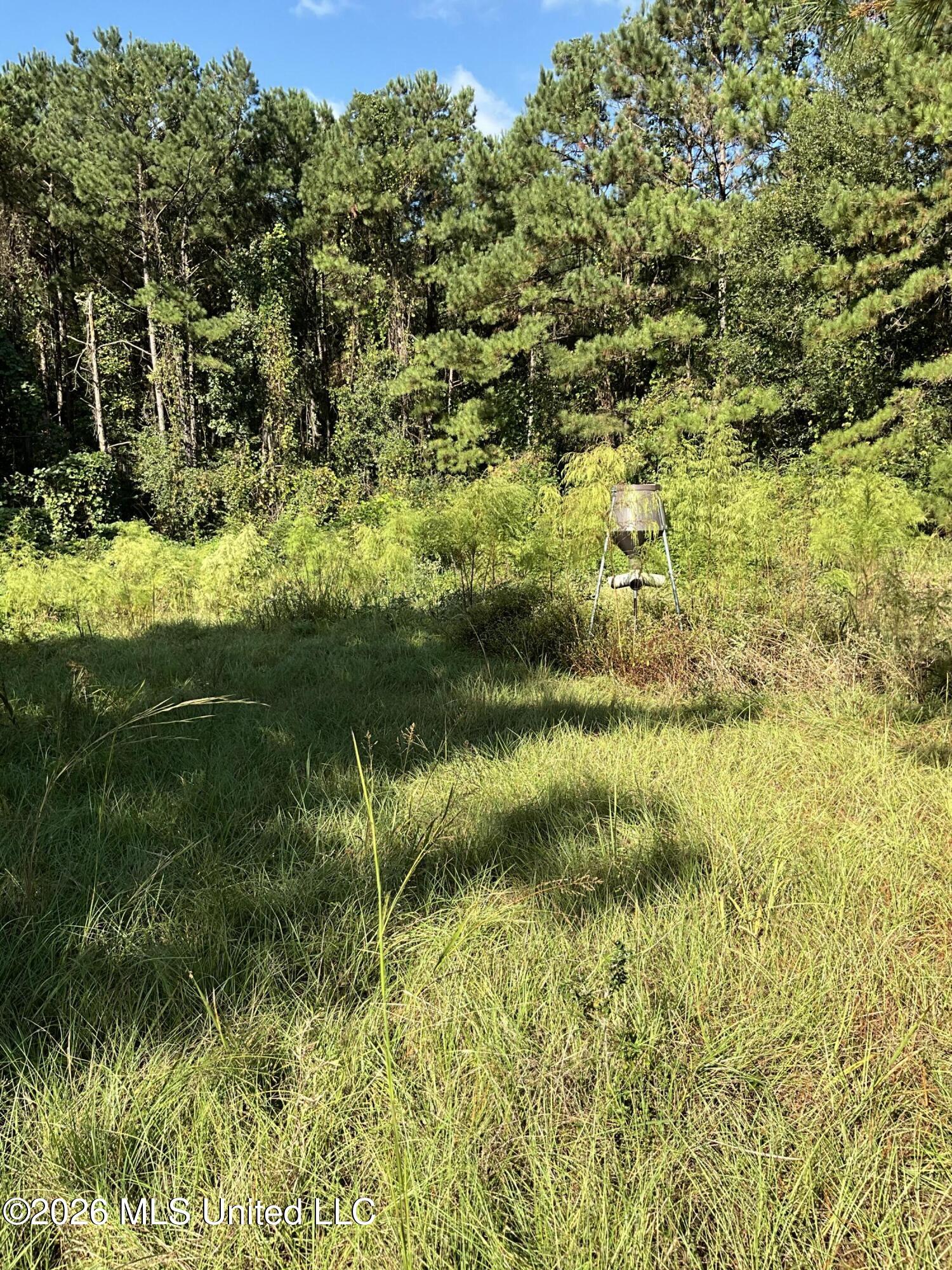 Highway 24 Property Photo 19
