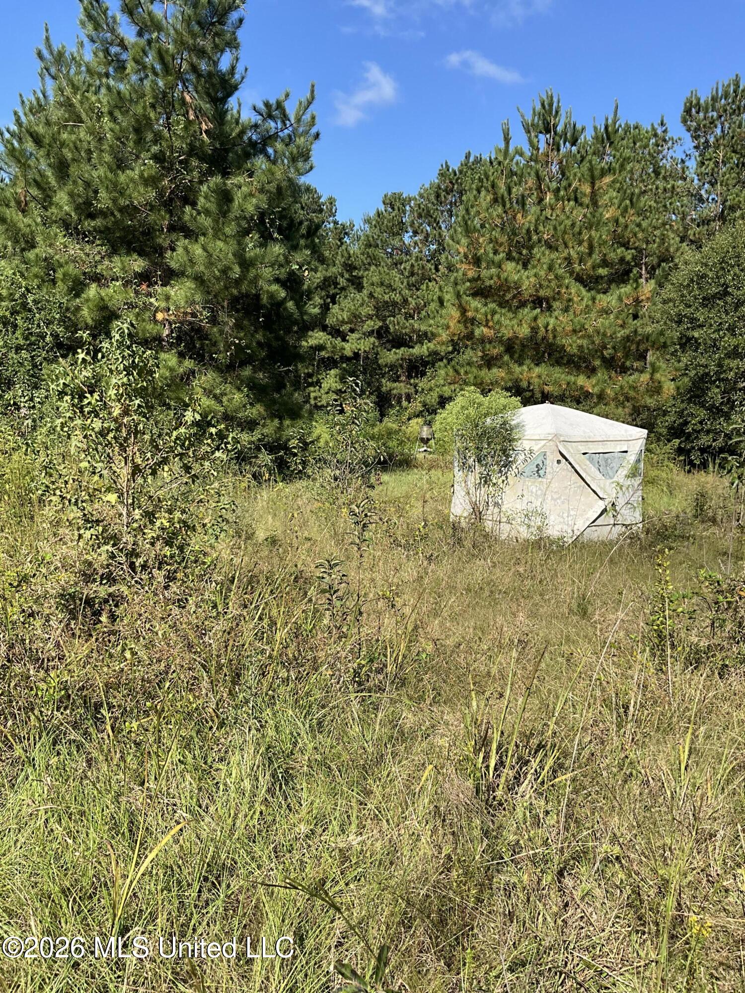 Highway 24 Property Photo 20