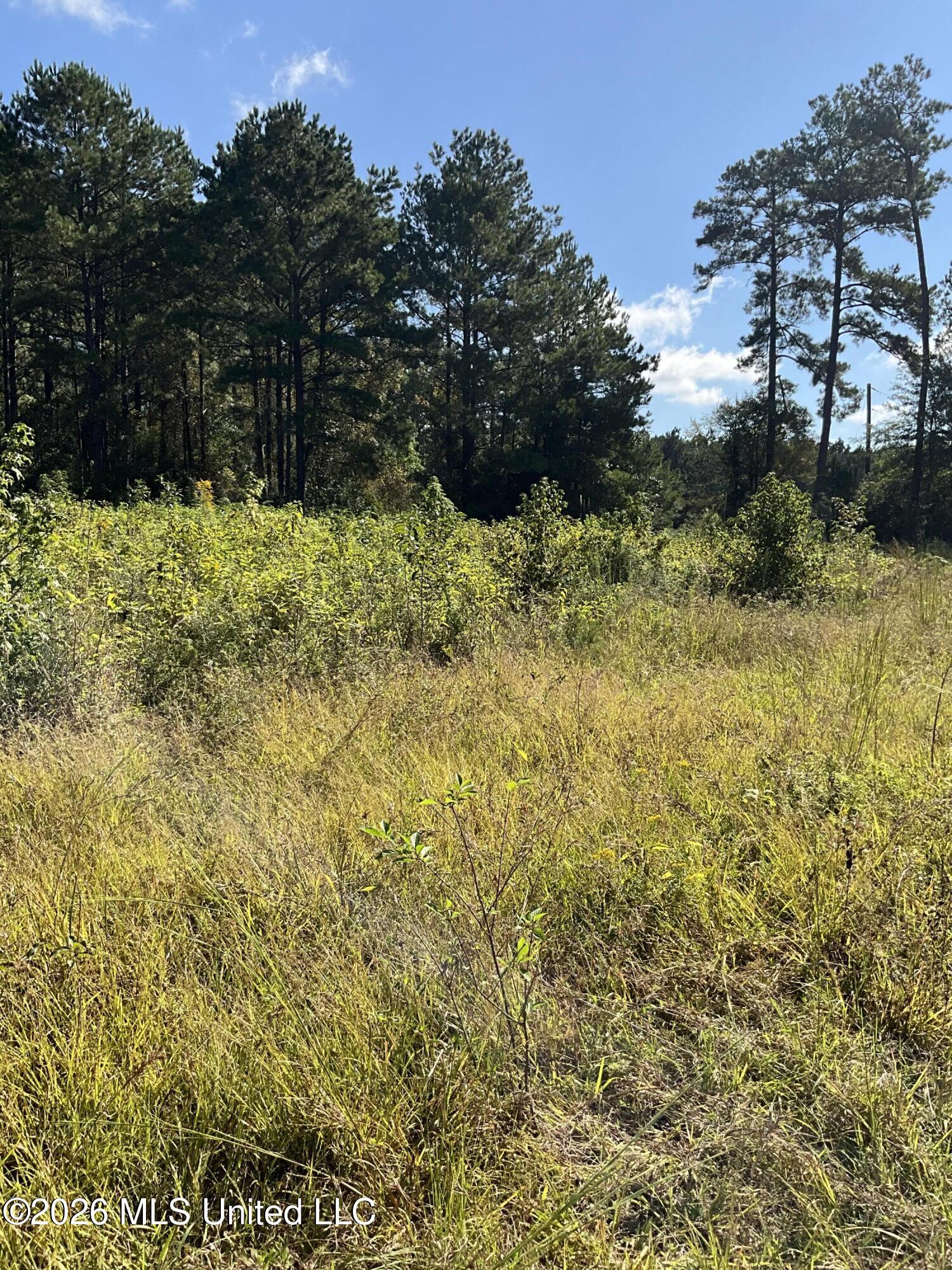 Highway 24 Property Photo 21