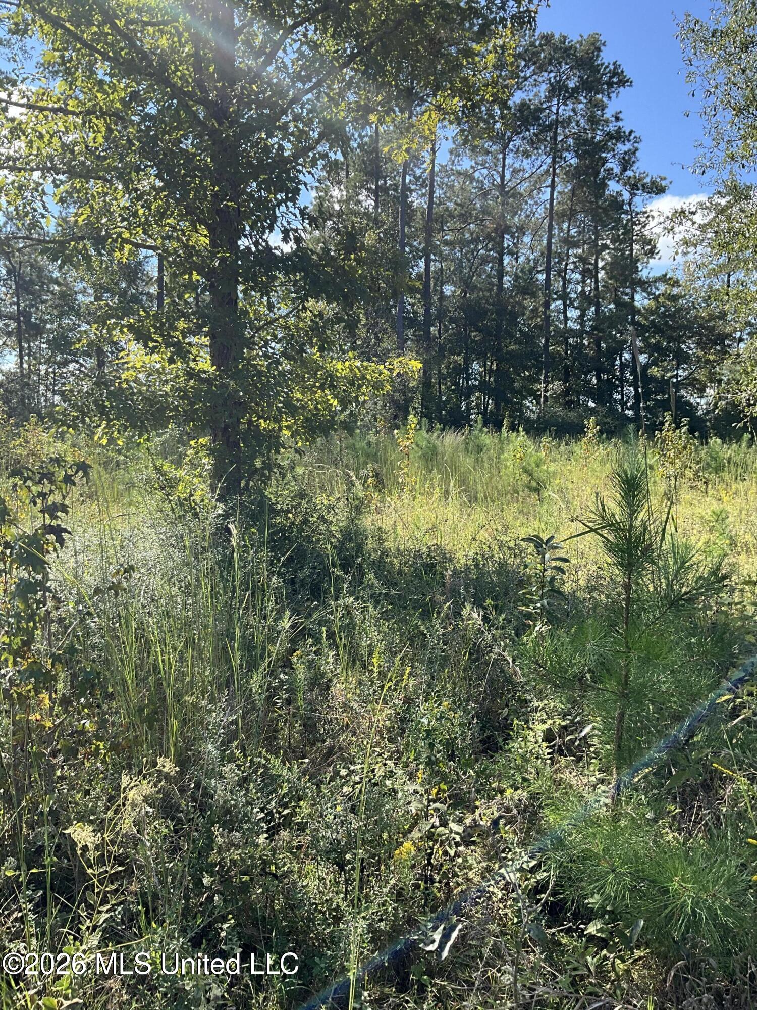 Highway 24 Property Photo 22