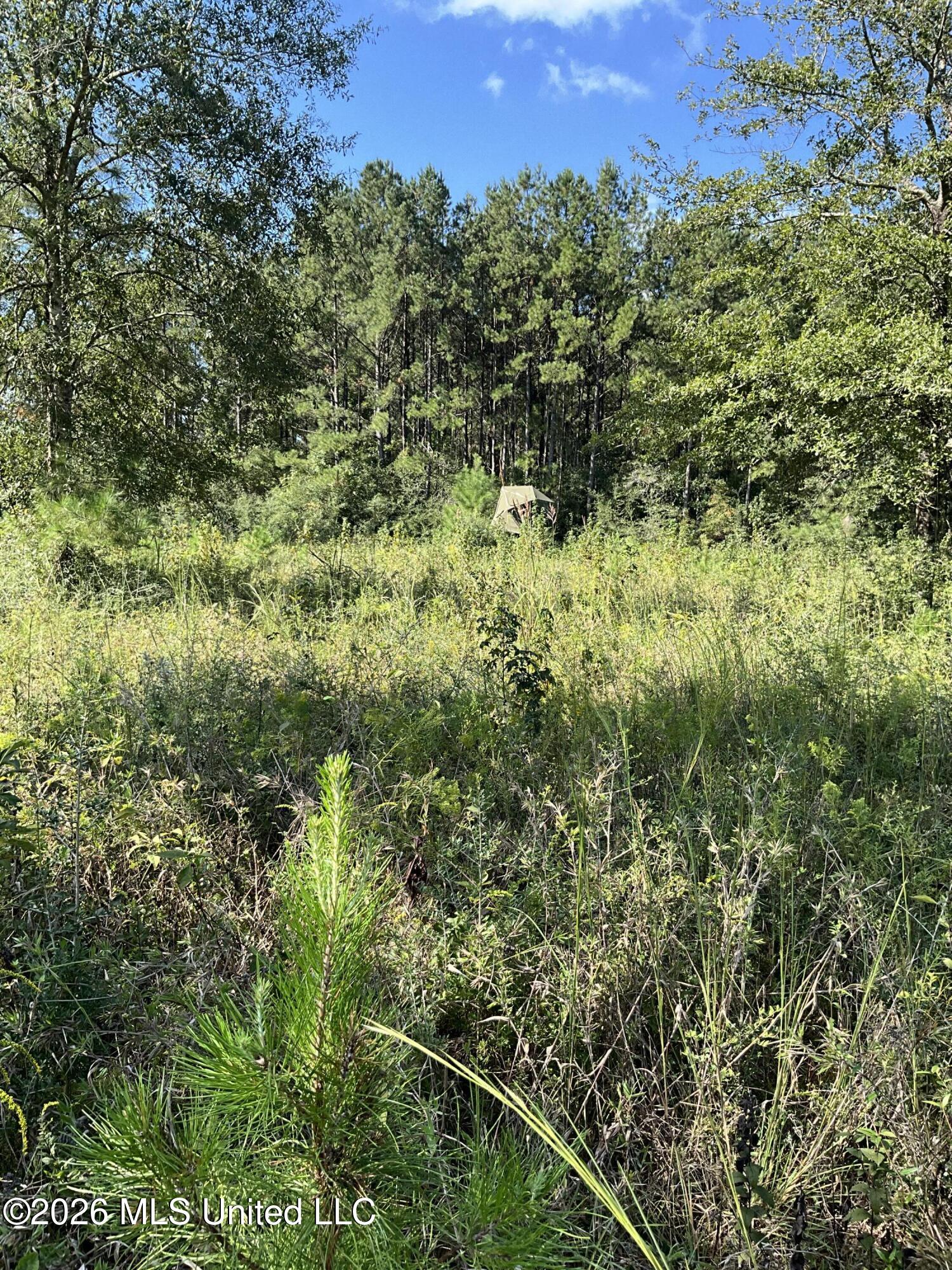 Highway 24 Property Photo 23