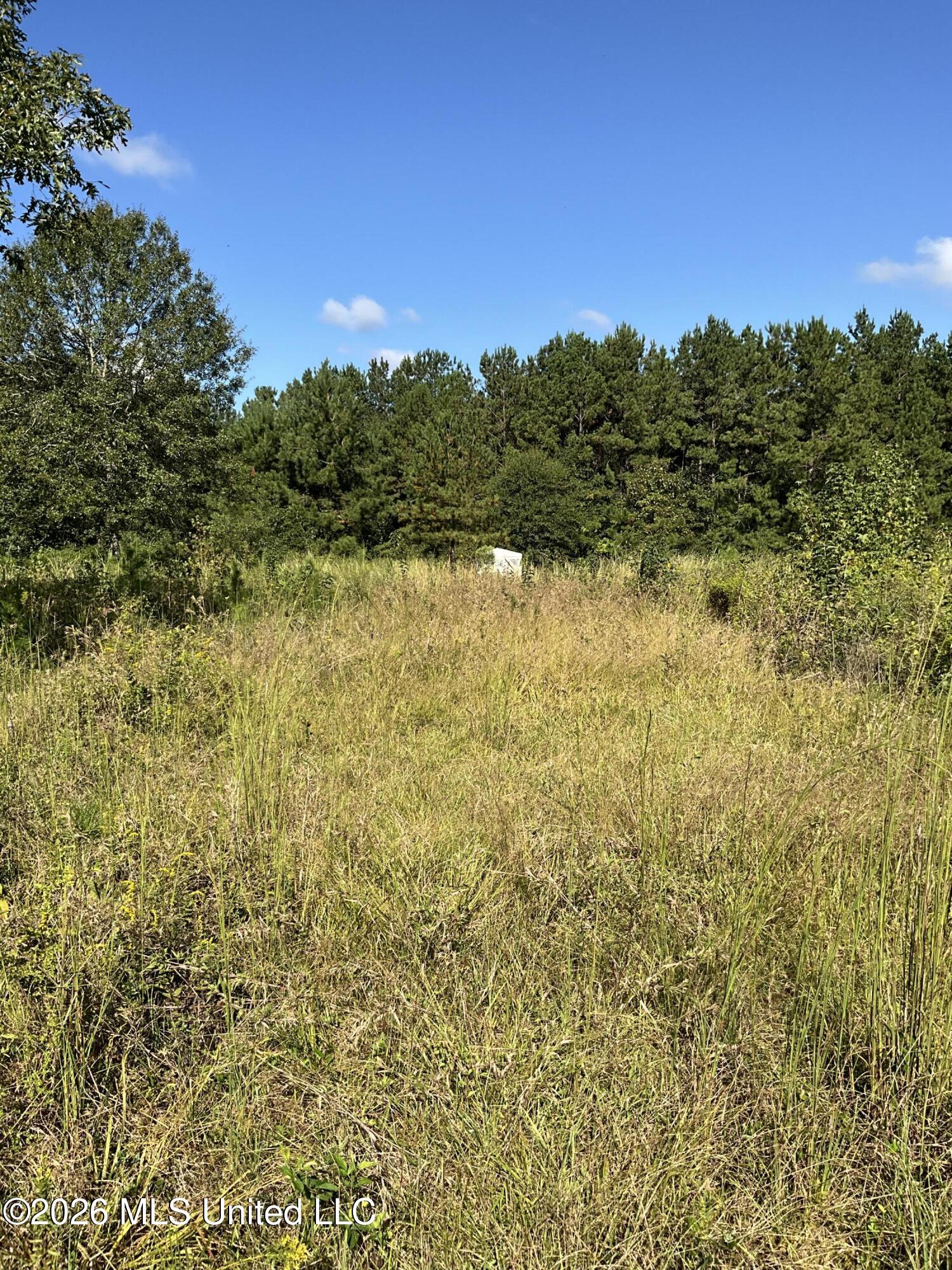 Highway 24 Property Photo 24