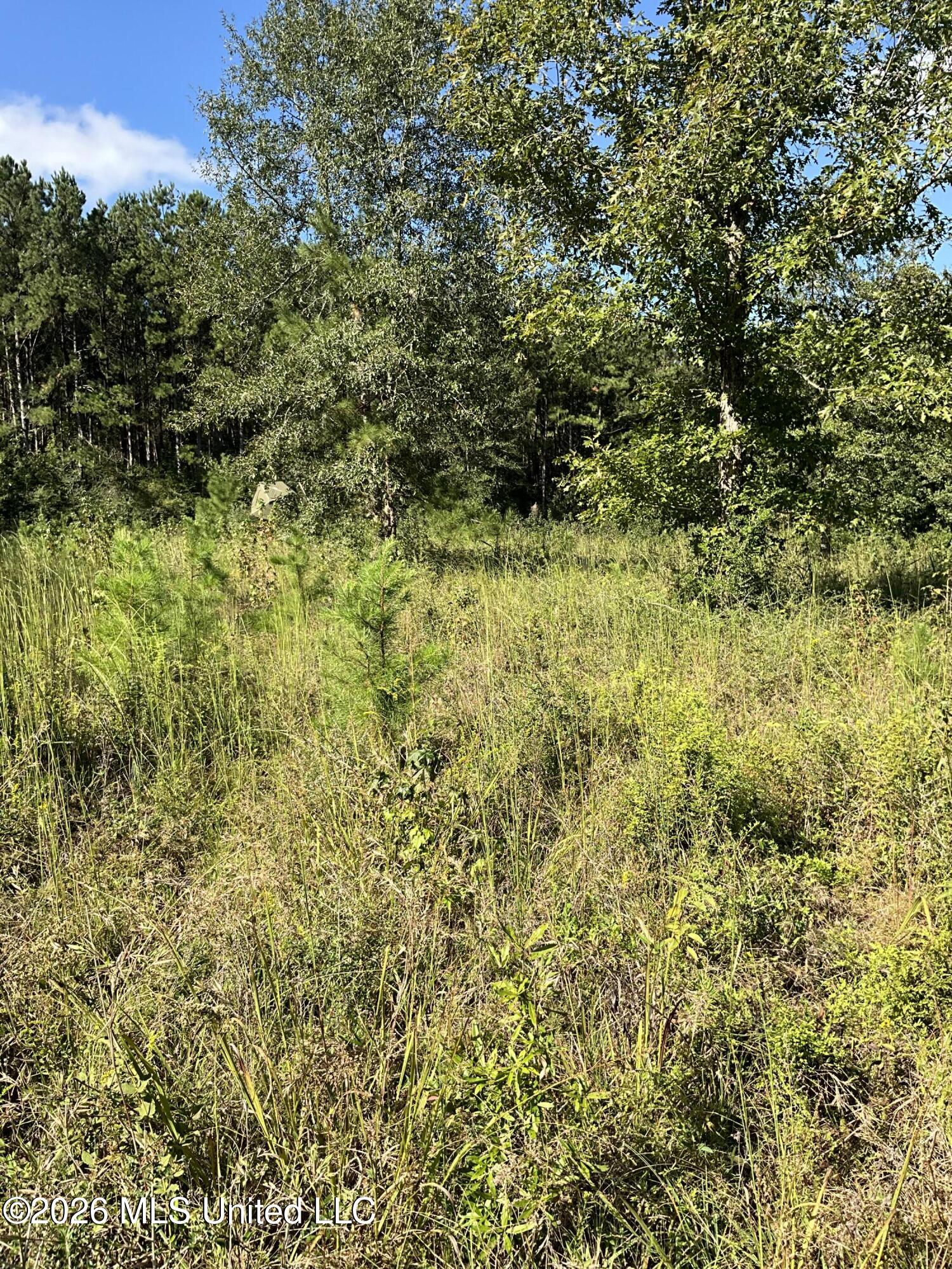 Highway 24 Property Photo 25