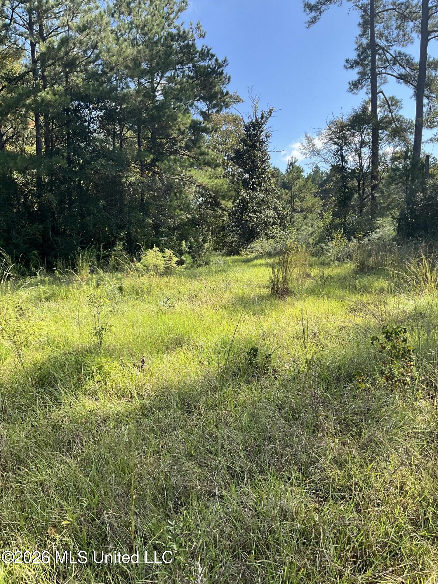 Highway 24 Property Photo 26