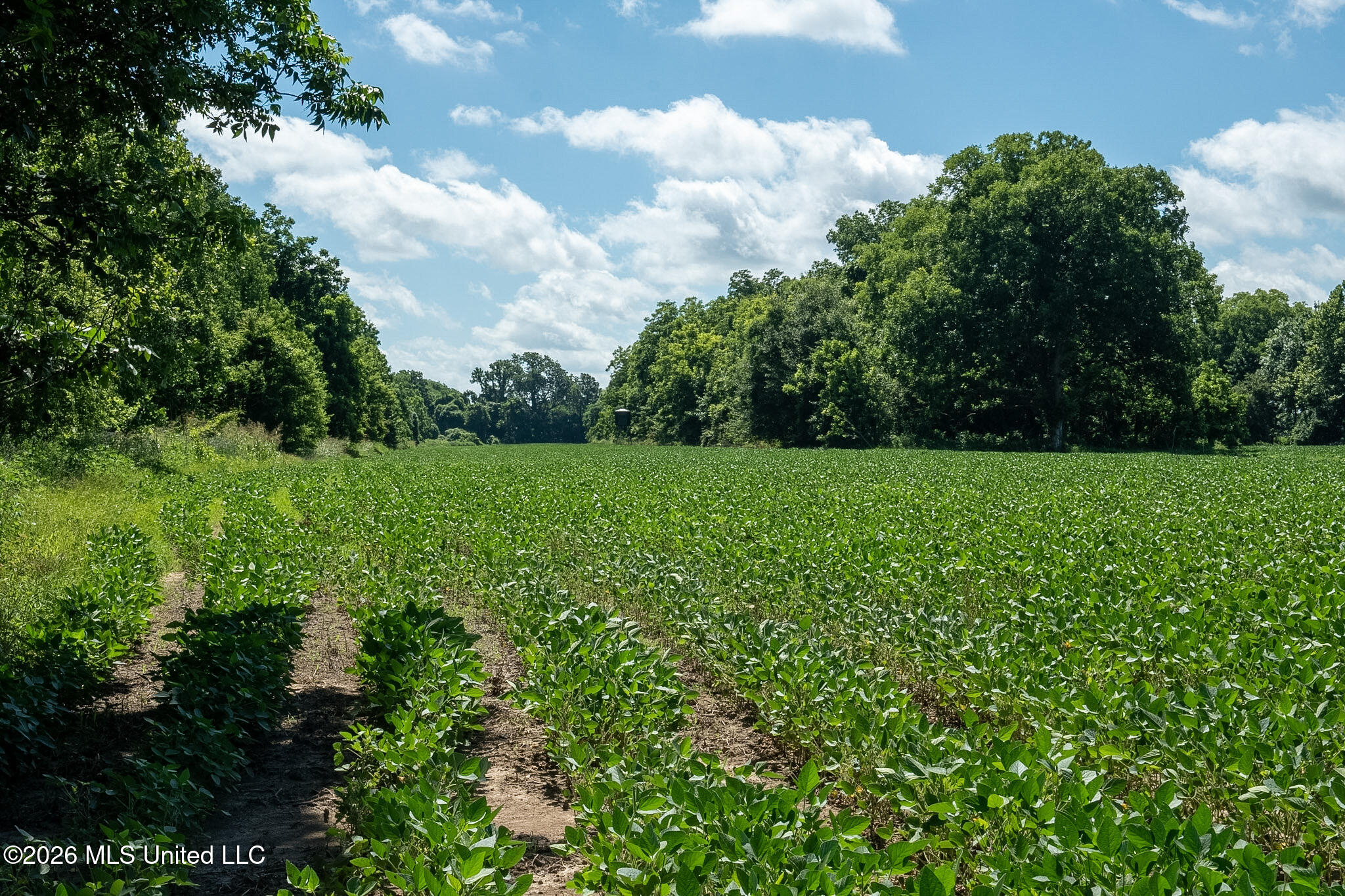 Ms-448 Property Photo 2