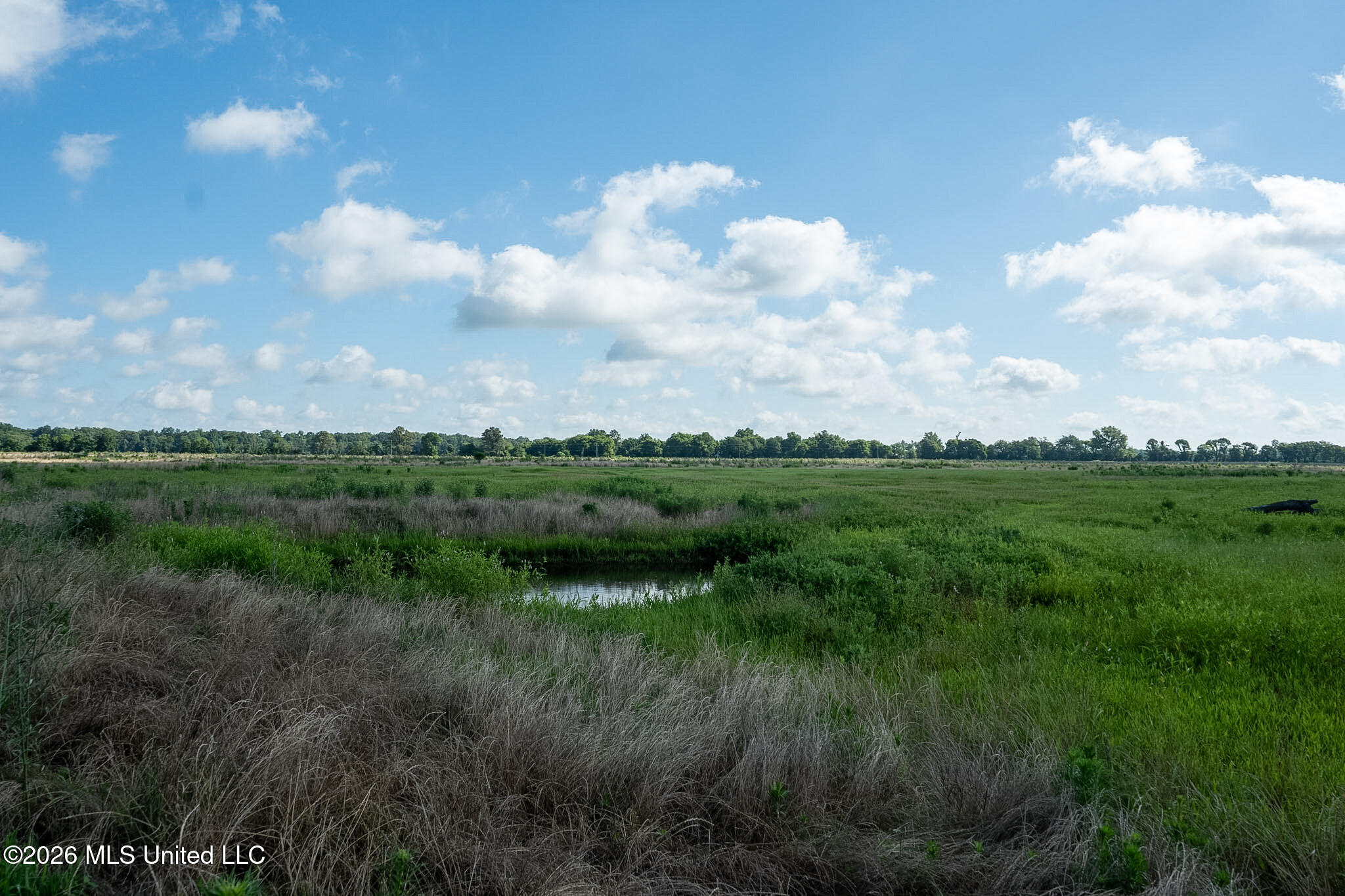 Ms-448 Property Photo 3