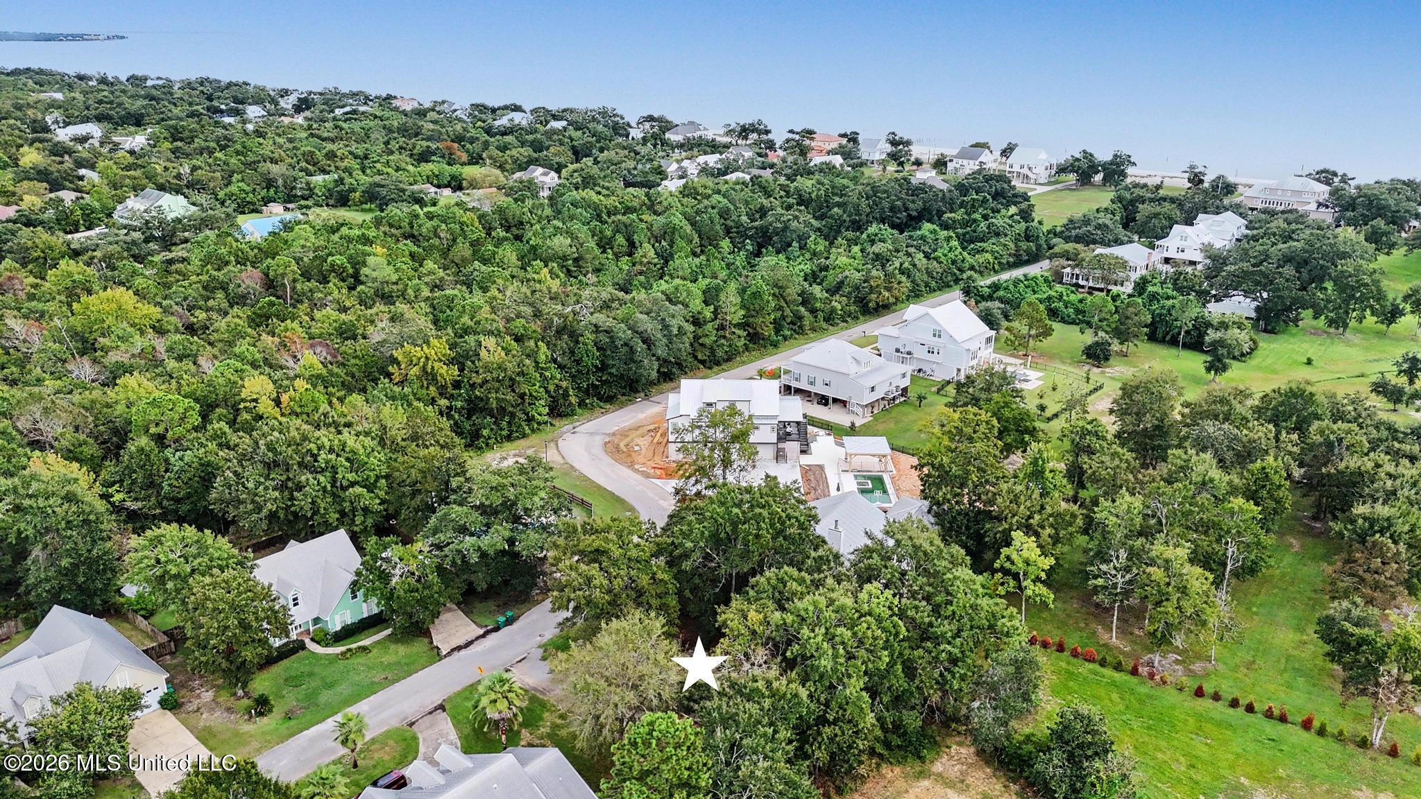 173 Blue Heron Cove Property Photo 7