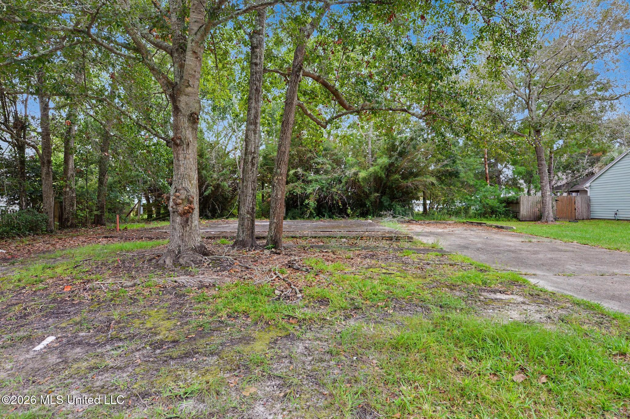 173 Blue Heron Cove Property Photo 12