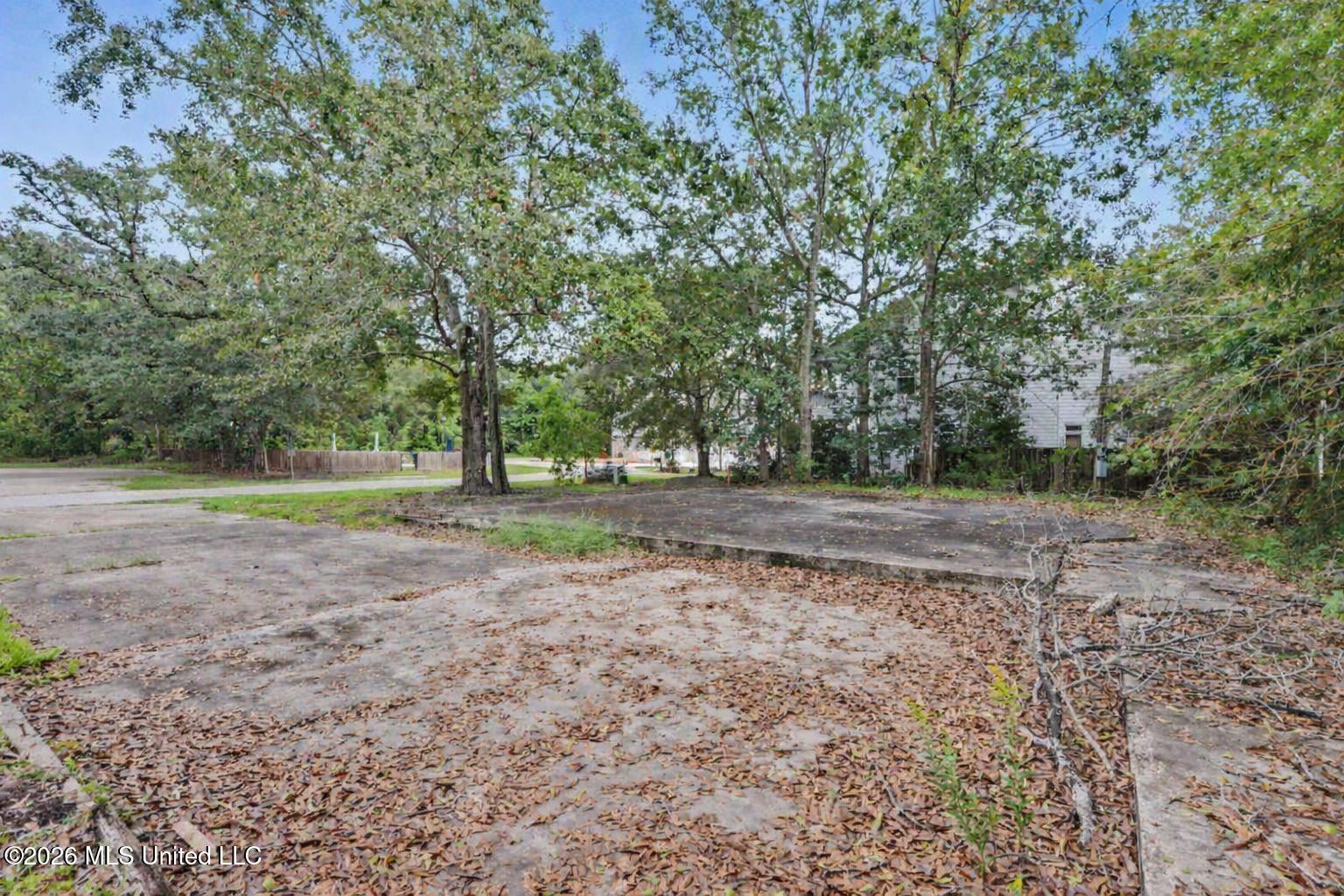 173 Blue Heron Cove Property Photo 13