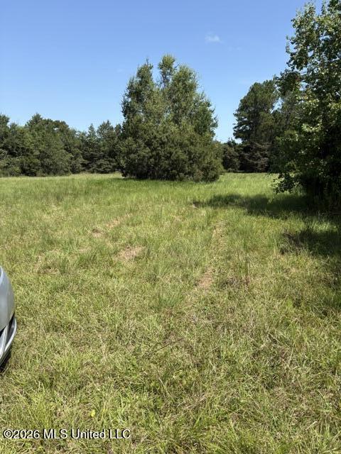 6420 Firetower Road Property Photo 1