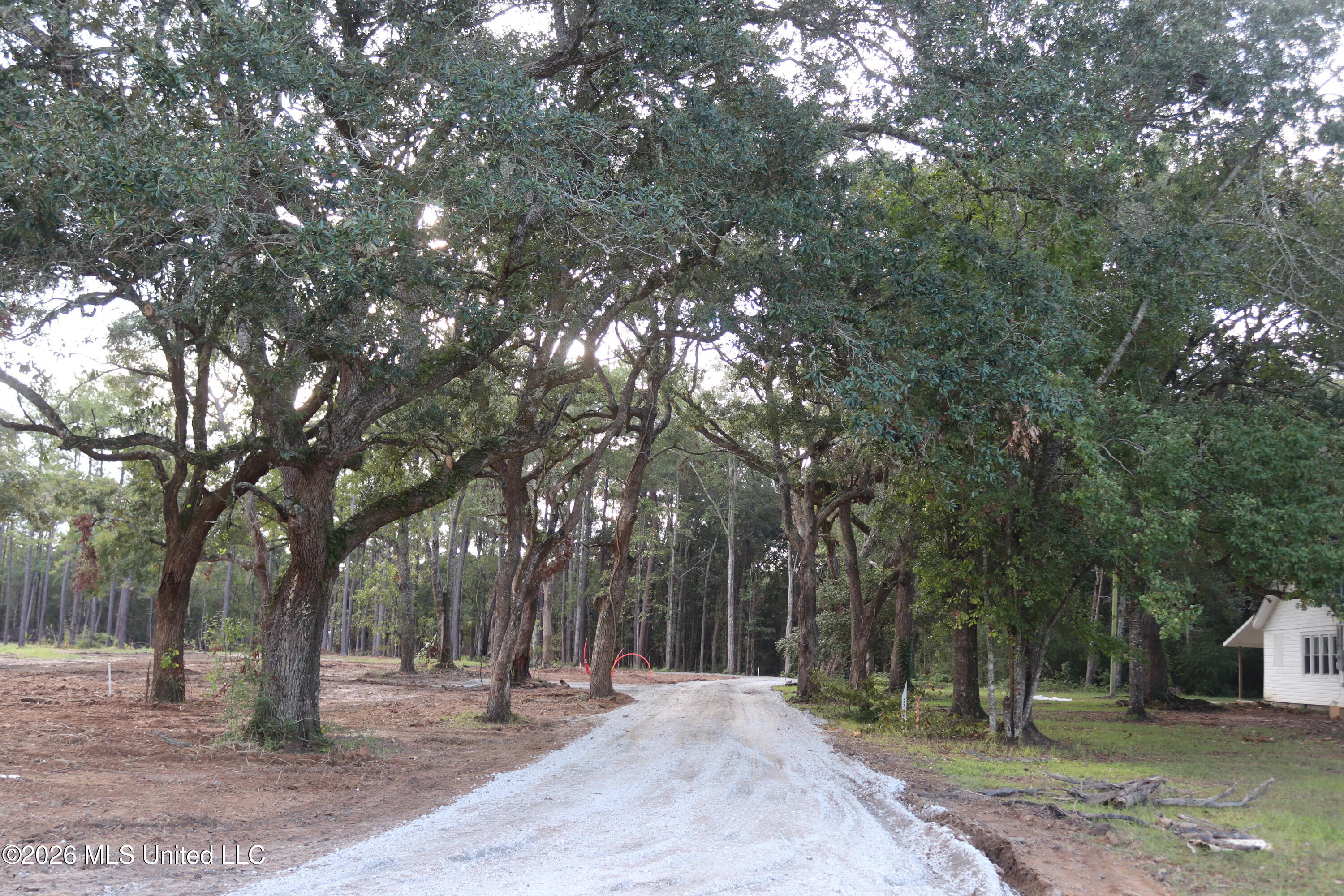 9227 Highway 613 Property Photo 6