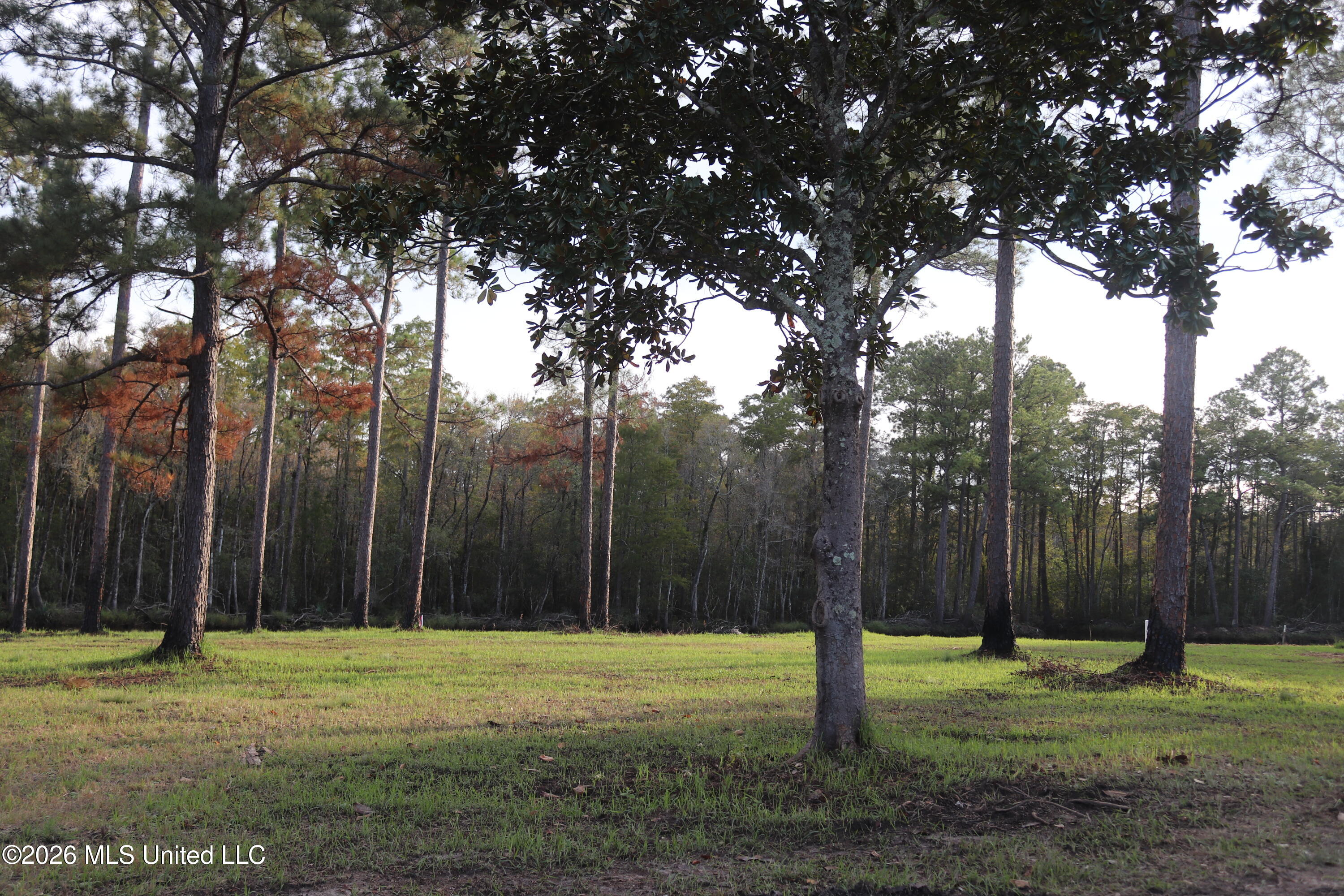 9227 Highway 613 Property Photo 8