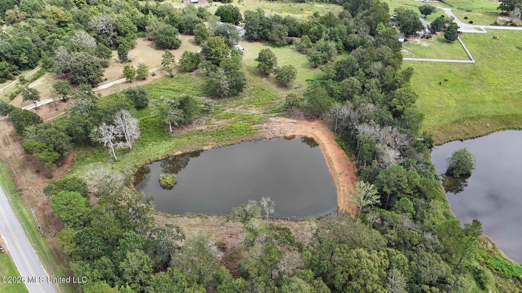 Northrup Cuevas Road Property Photo 8