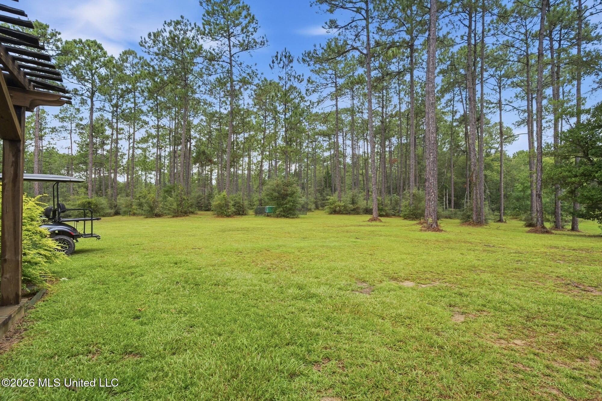 463 Jess Williams Road Property Photo 31