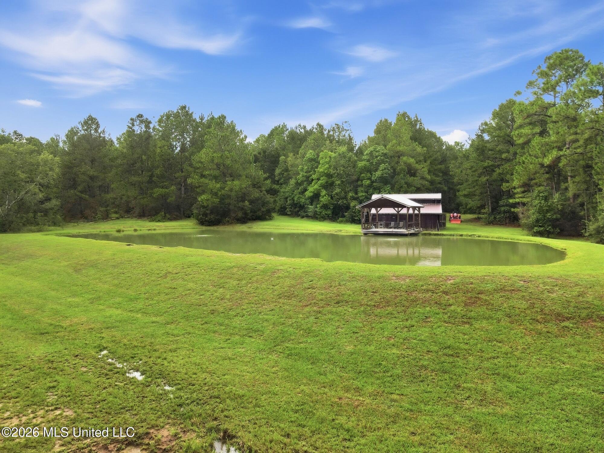 463 Jess Williams Road Property Photo 46