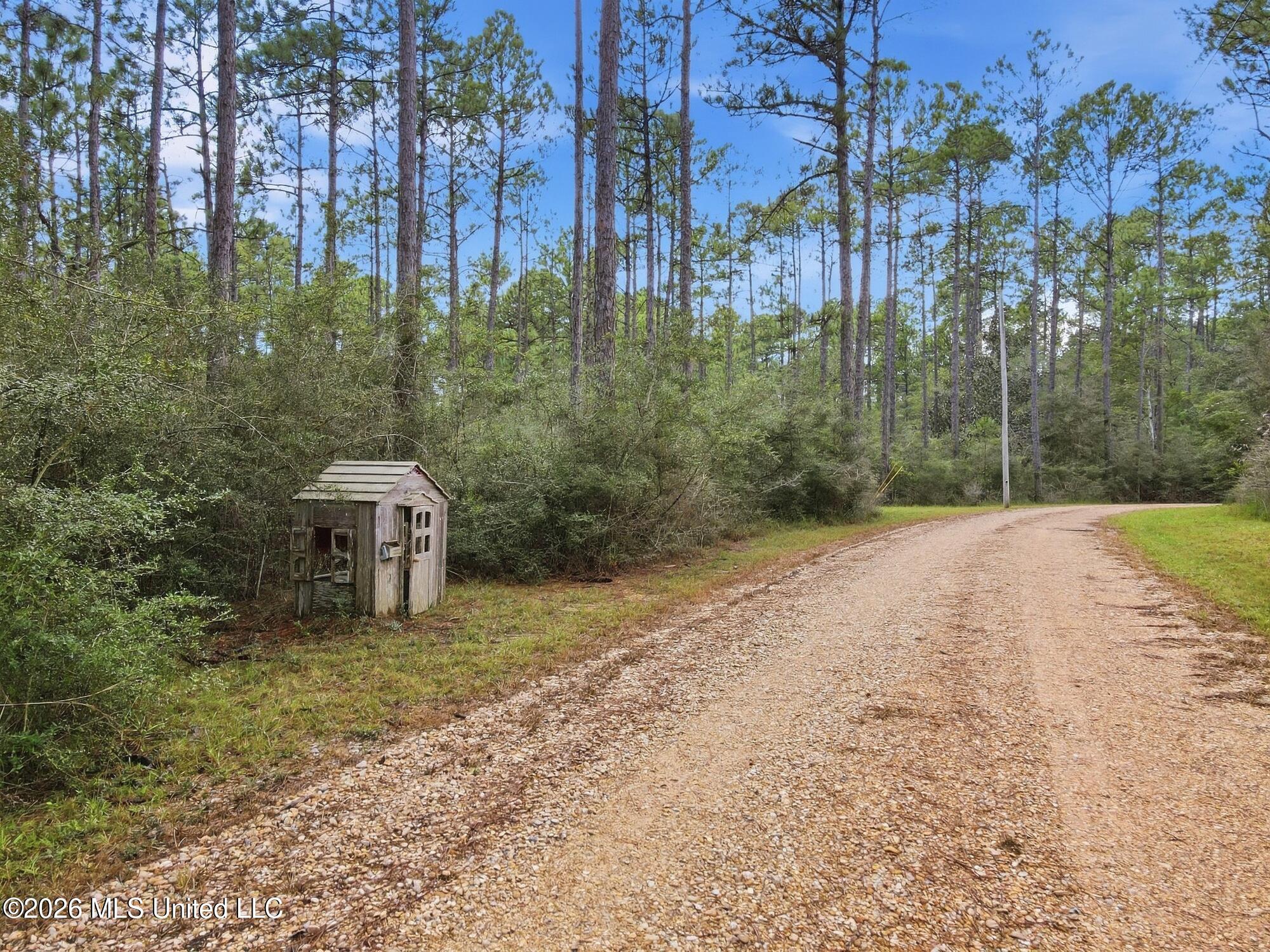 463 Jess Williams Road Property Photo 50