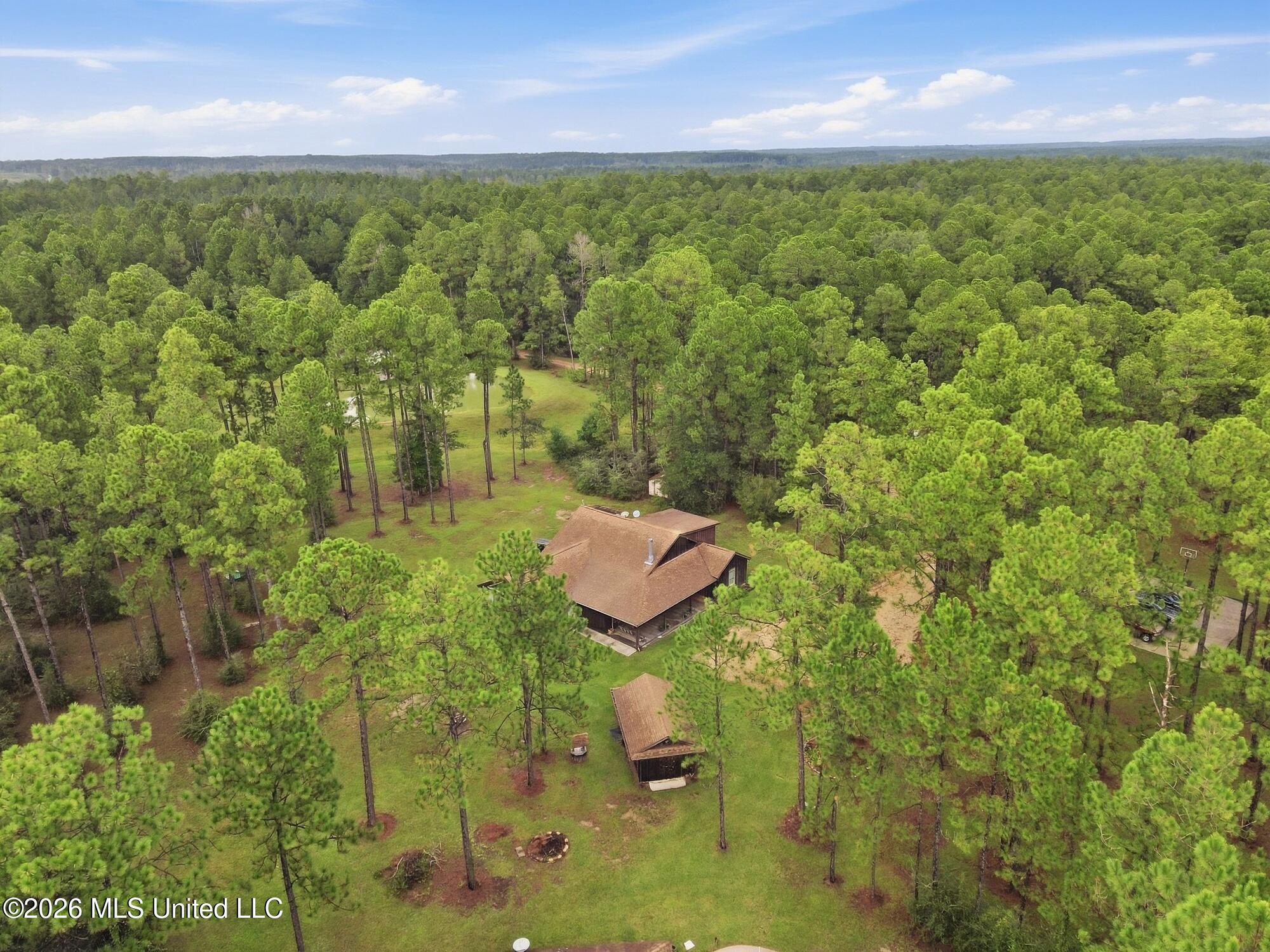 463 Jess Williams Road Property Photo 52