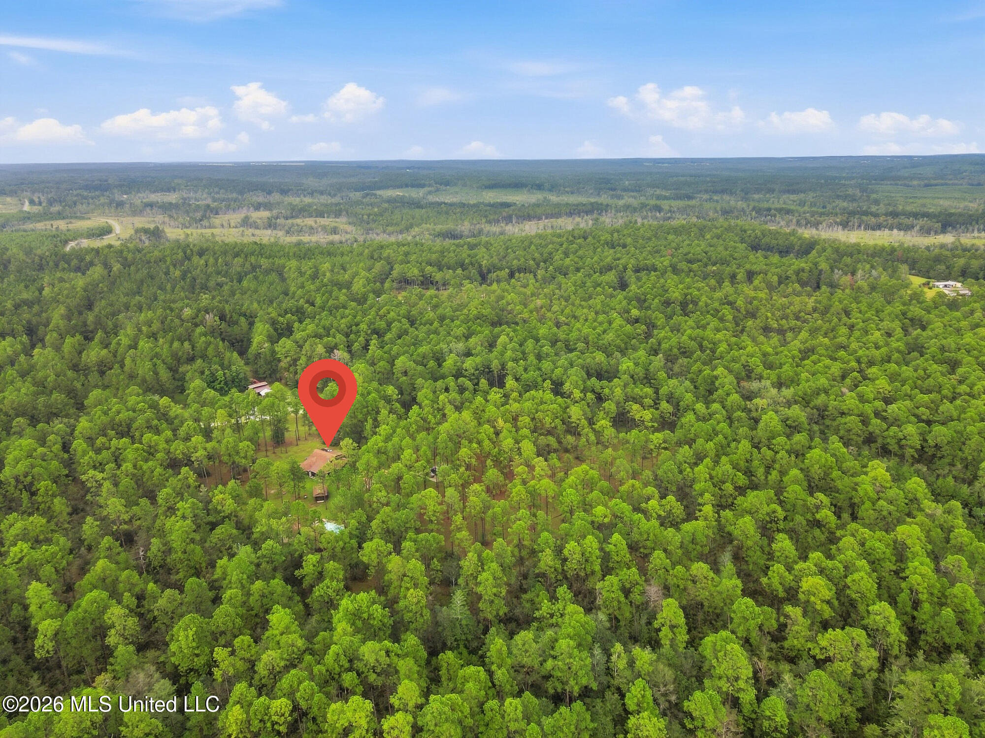 463 Jess Williams Road Property Photo 54
