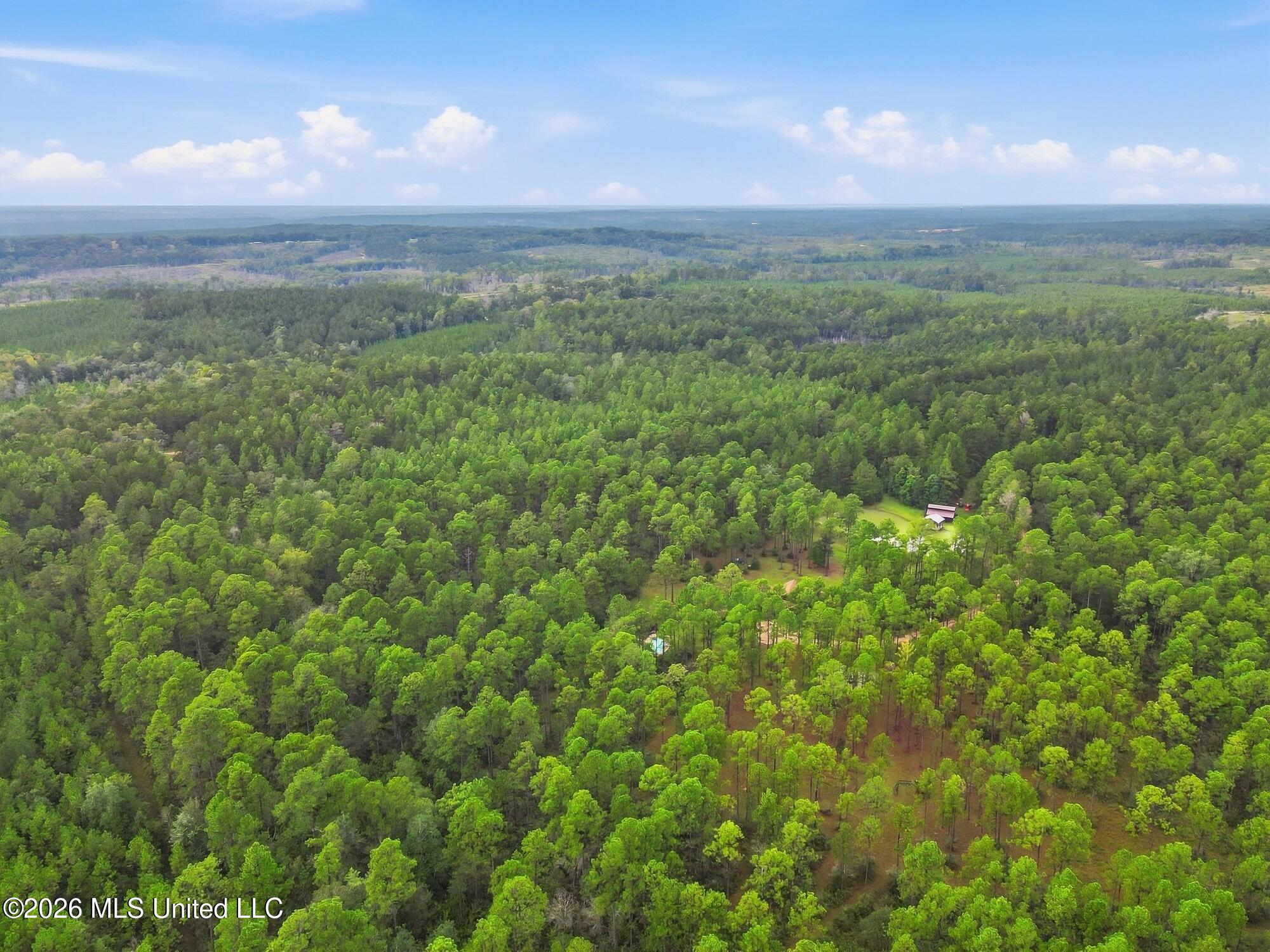 463 Jess Williams Road Property Photo 55