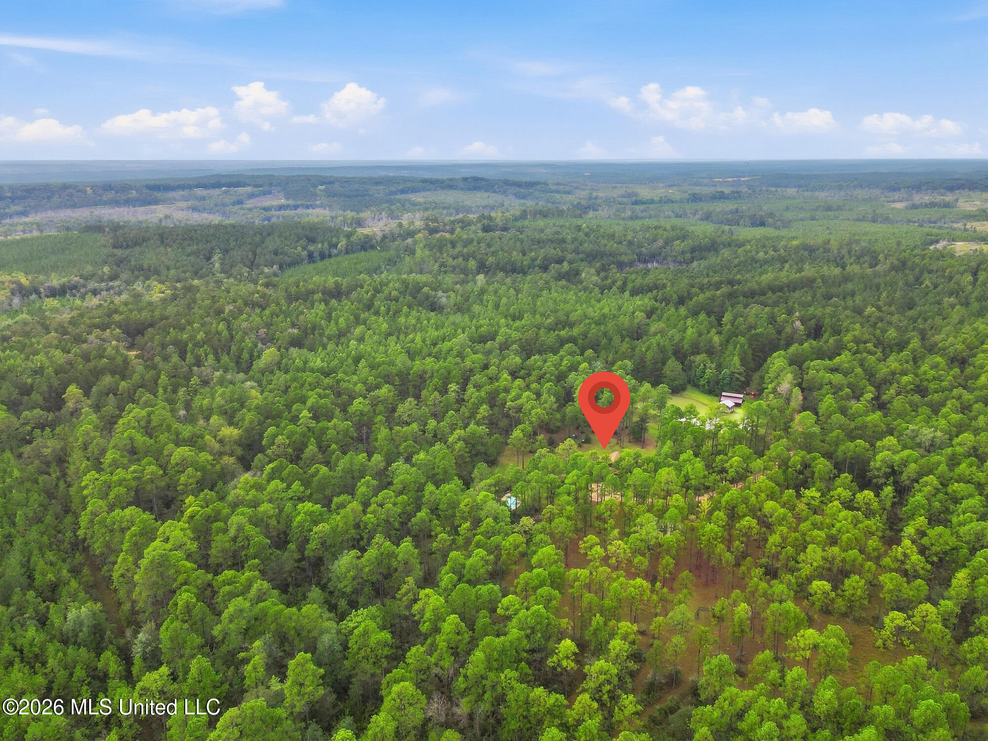 463 Jess Williams Road Property Photo 56