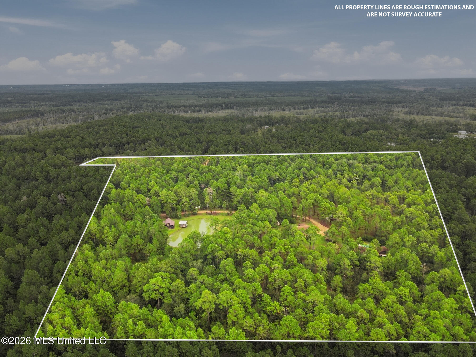 463 Jess Williams Road Property Photo 58