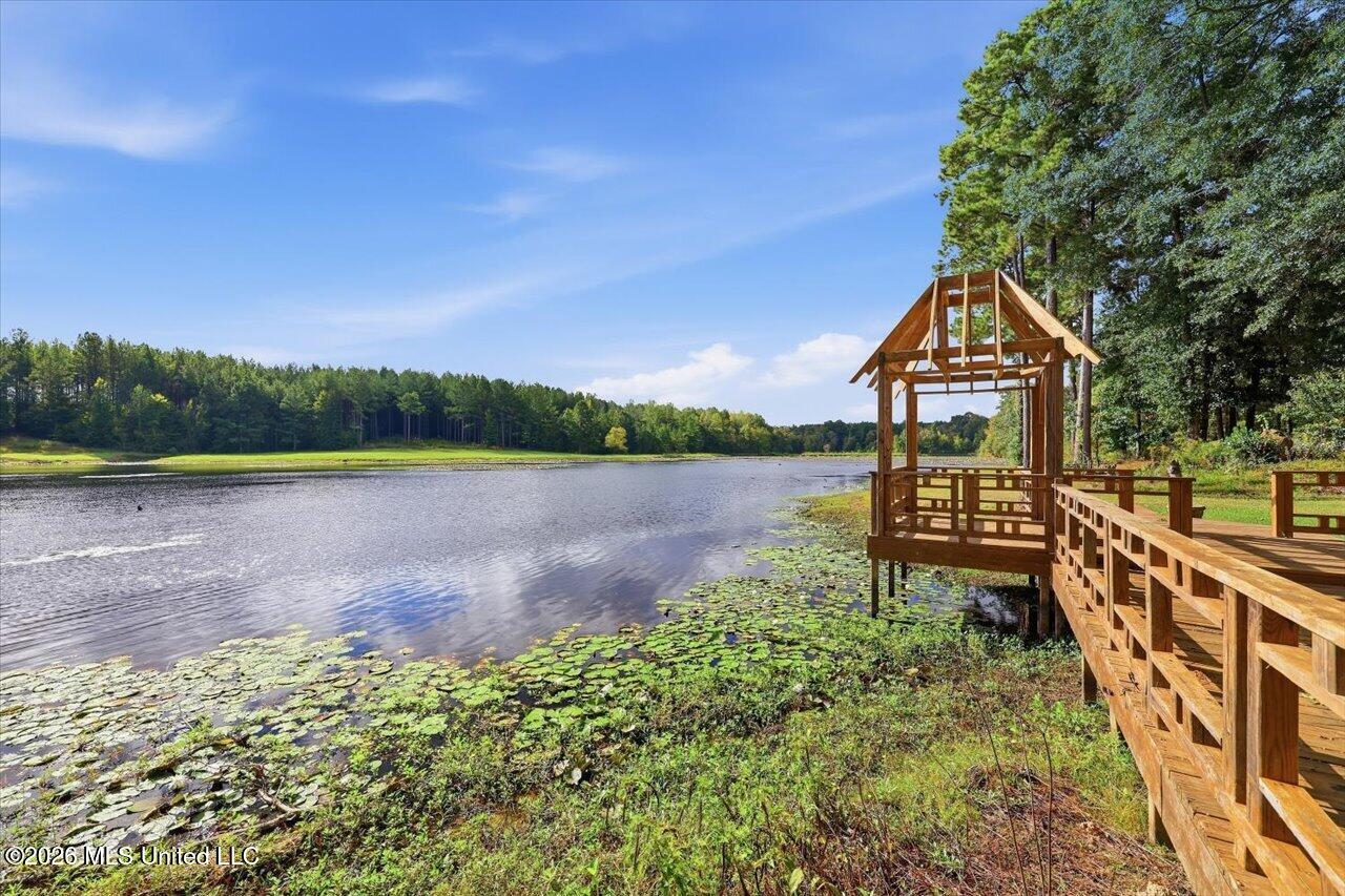 1511 Hwy 469 Property Photo 6