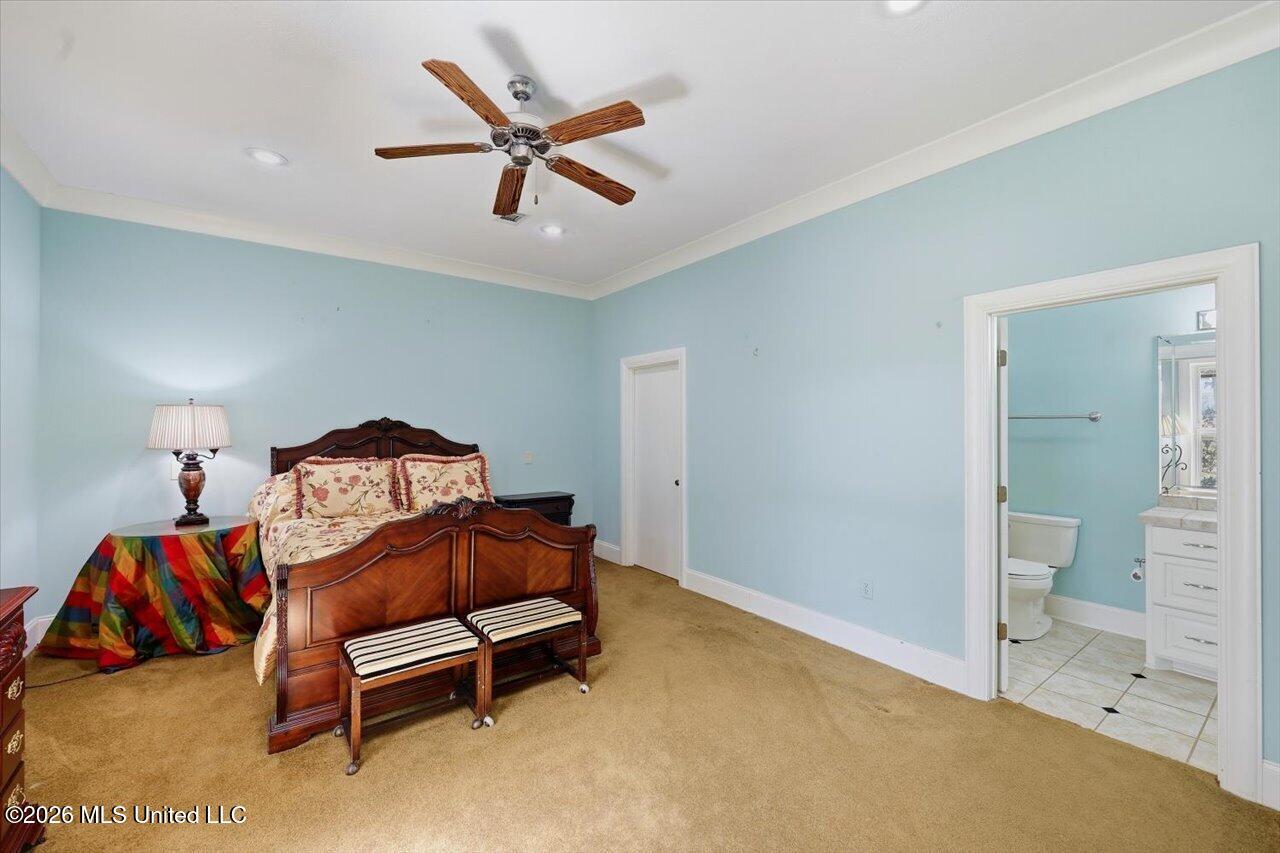 1511 Hwy 469 Property Photo 59