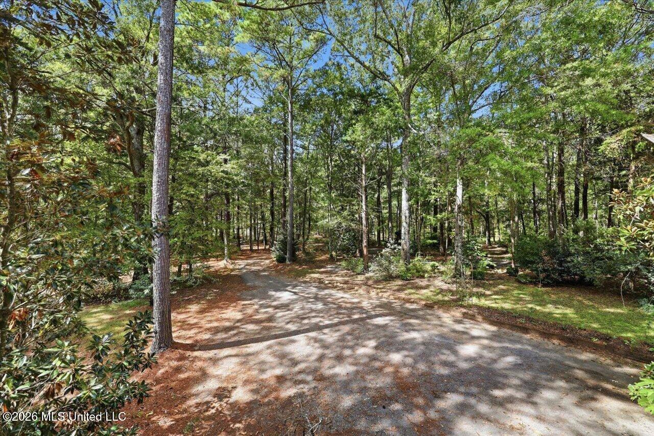 1511 Hwy 469 Property Photo 71