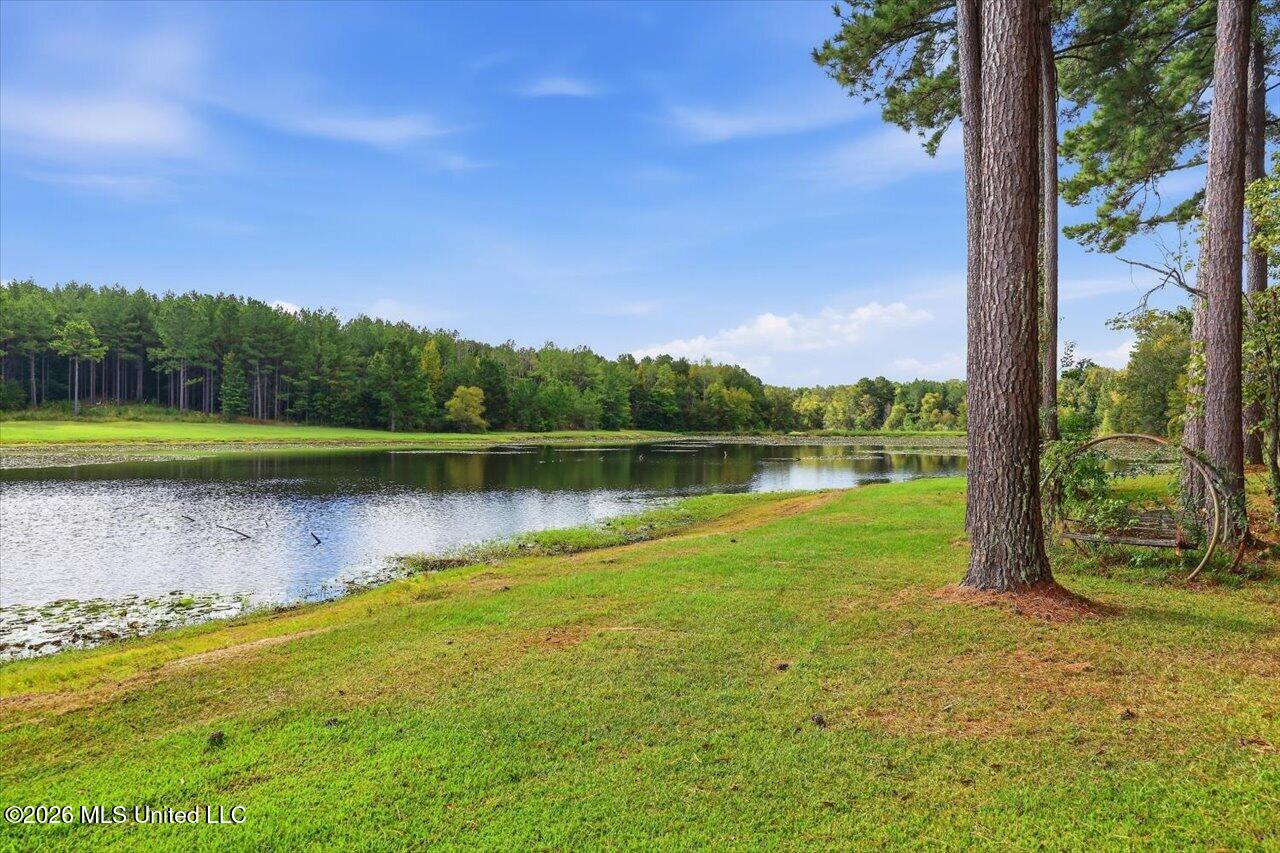 1511 Hwy 469 Property Photo 76