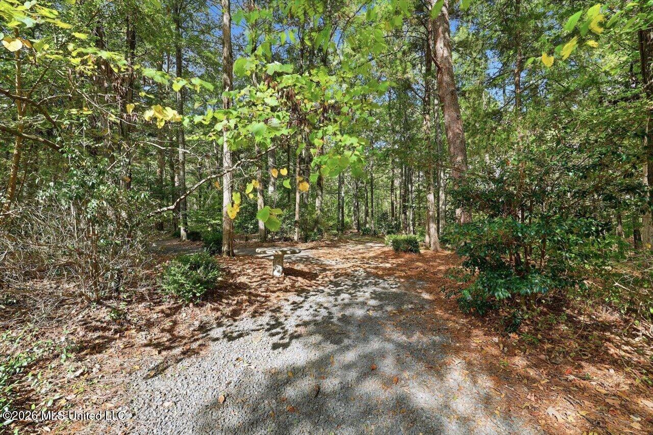 1511 Hwy 469 Property Photo 90