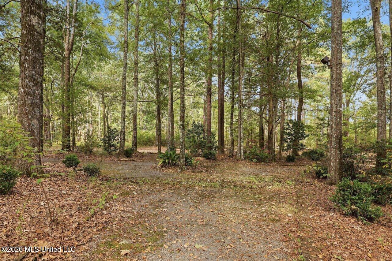 1511 Hwy 469 Property Photo 91