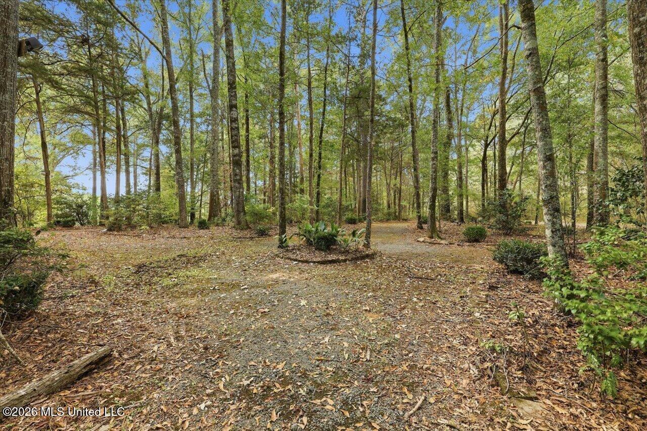 1511 Hwy 469 Property Photo 92