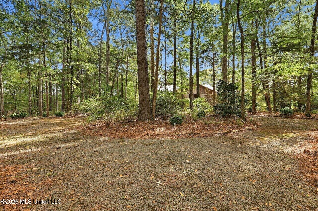 1511 Hwy 469 Property Photo 93