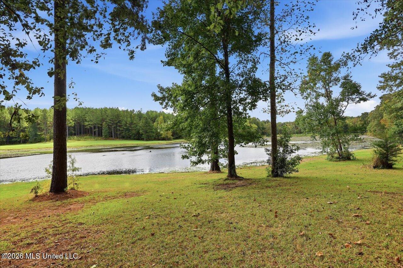 1511 Hwy 469 Property Photo 94