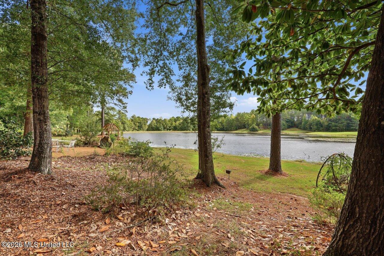 1511 Hwy 469 Property Photo 95